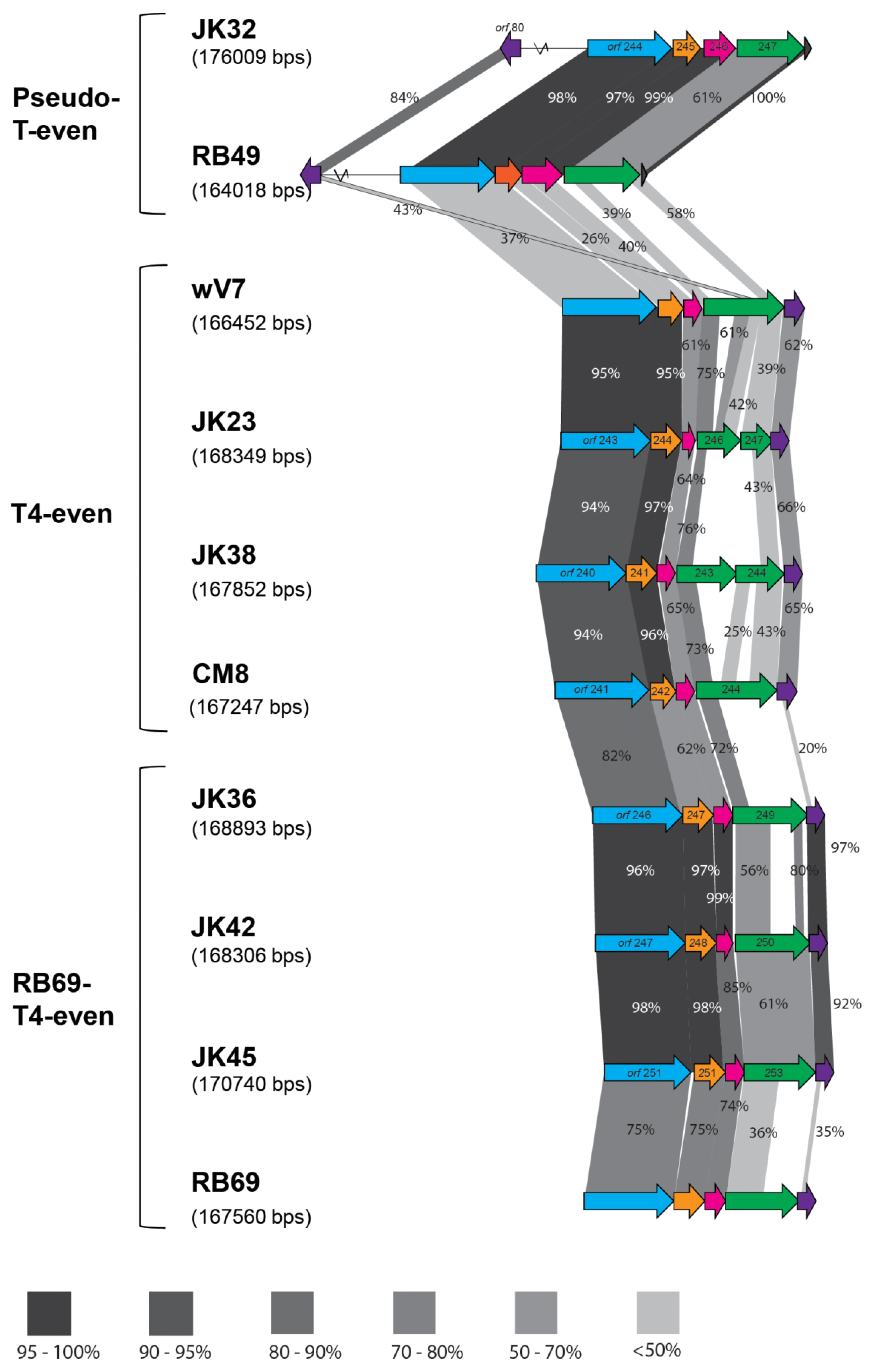 Viruses 11 00899 g003
