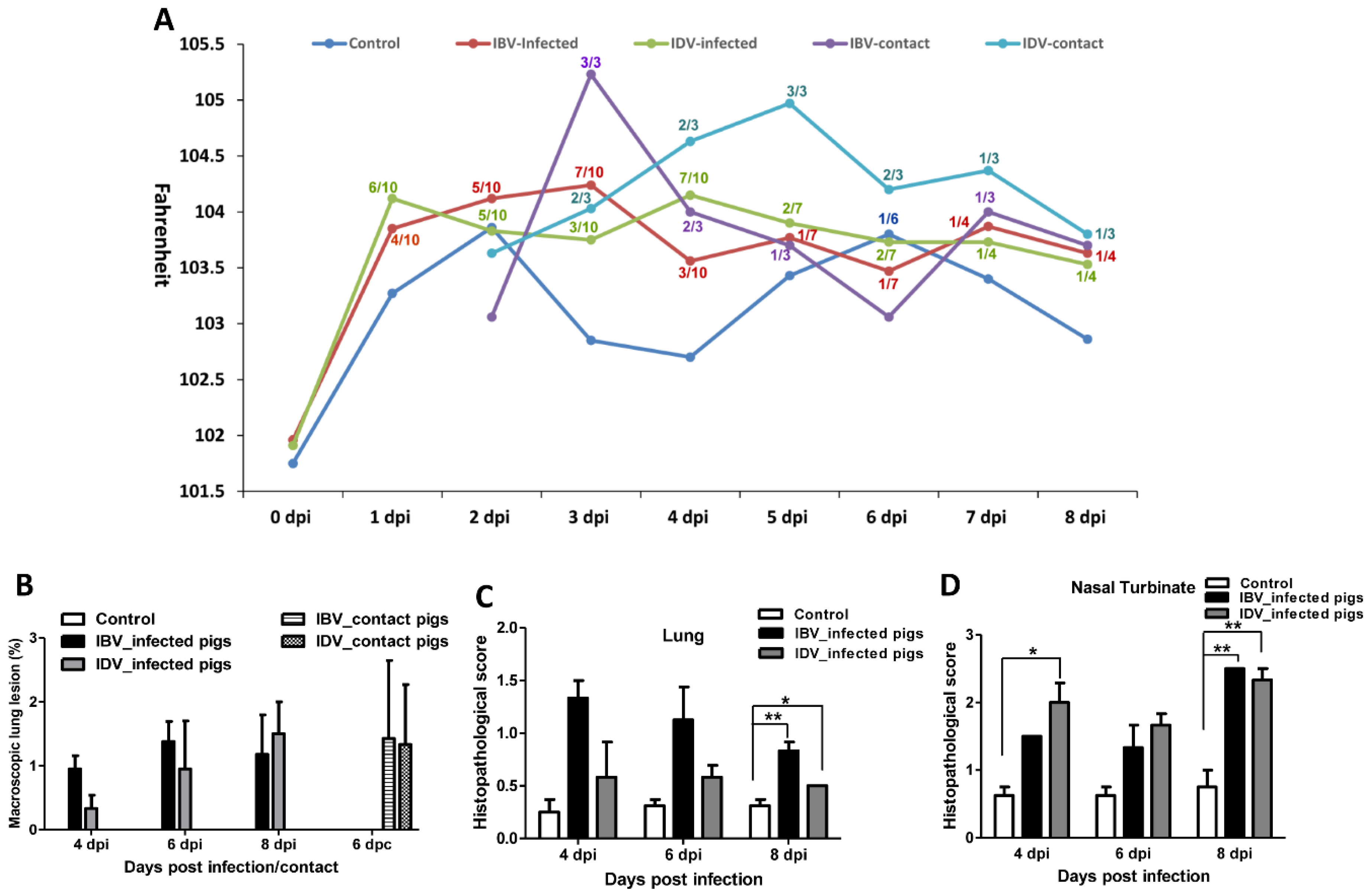 Viruses 11 00905 g001 Viruses 11 00905 g001