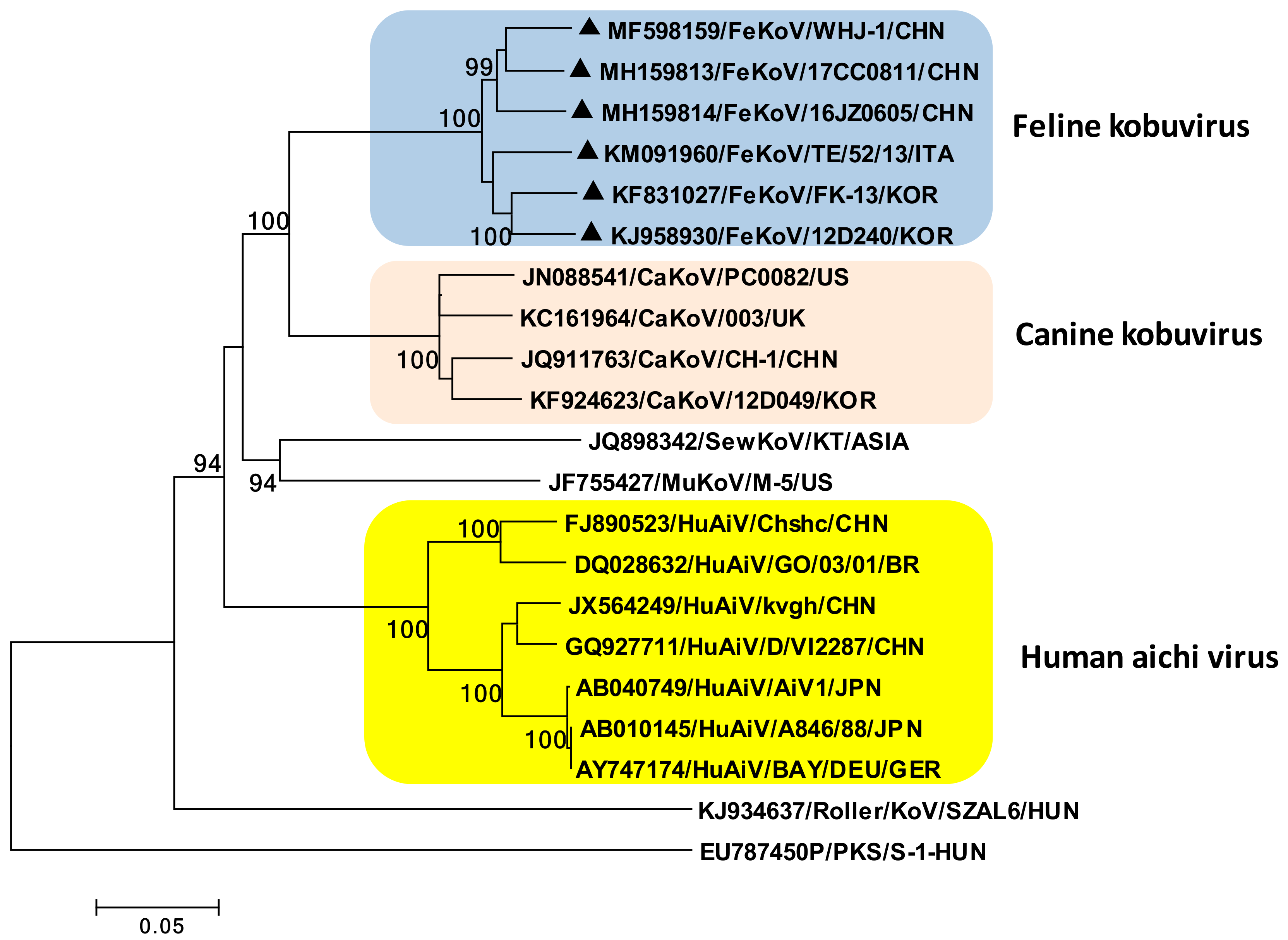 Viruses 11 00908 g002