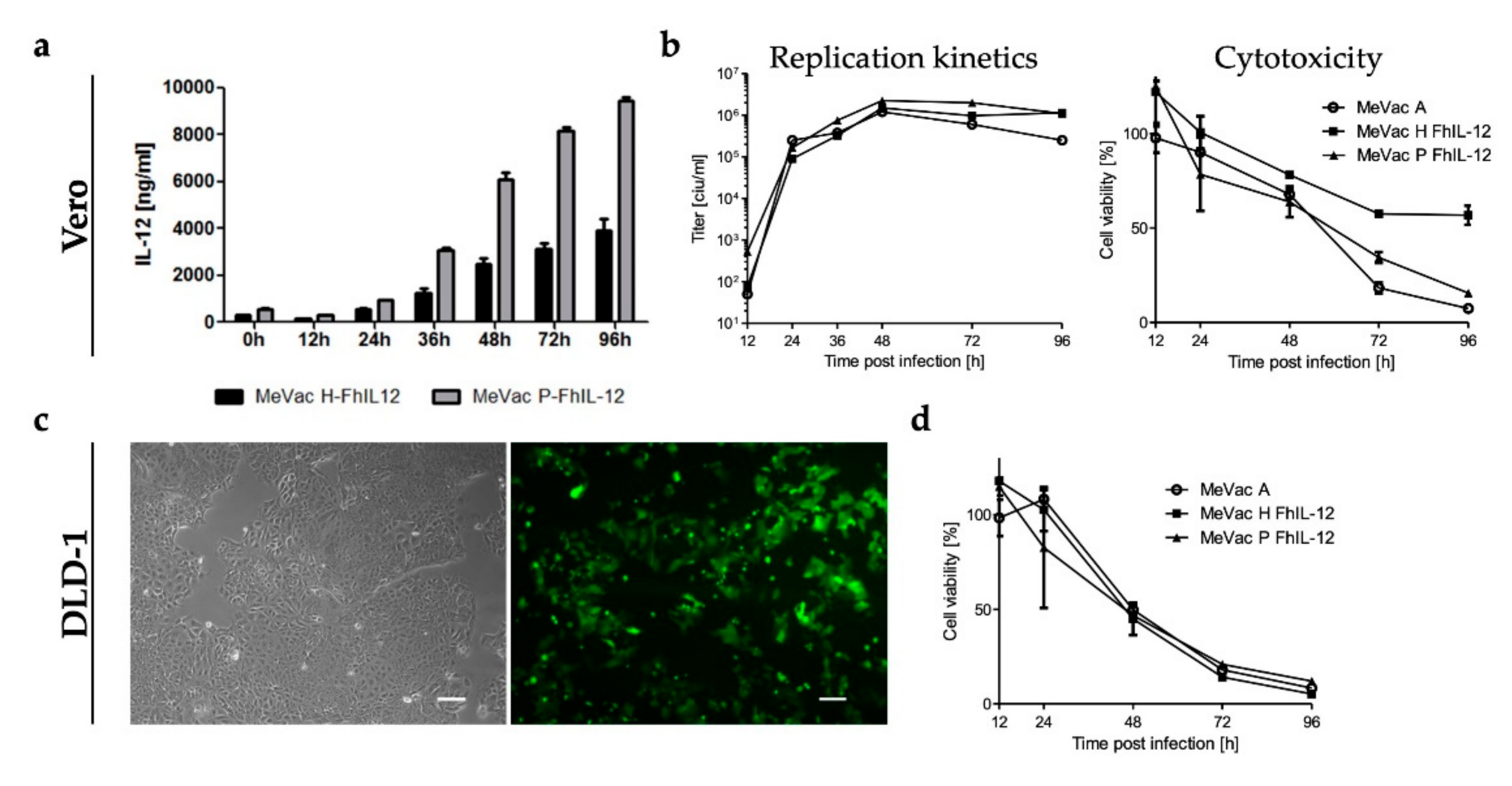 Viruses 11 00914 g008