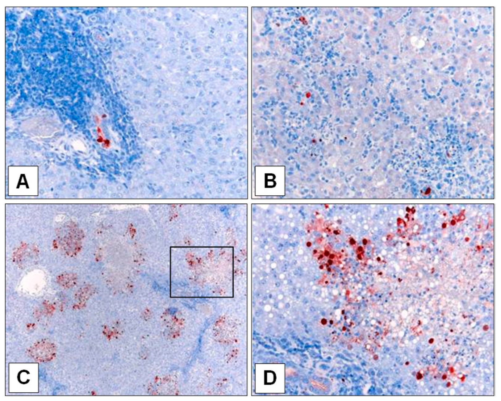 Viruses 11 00915 g002