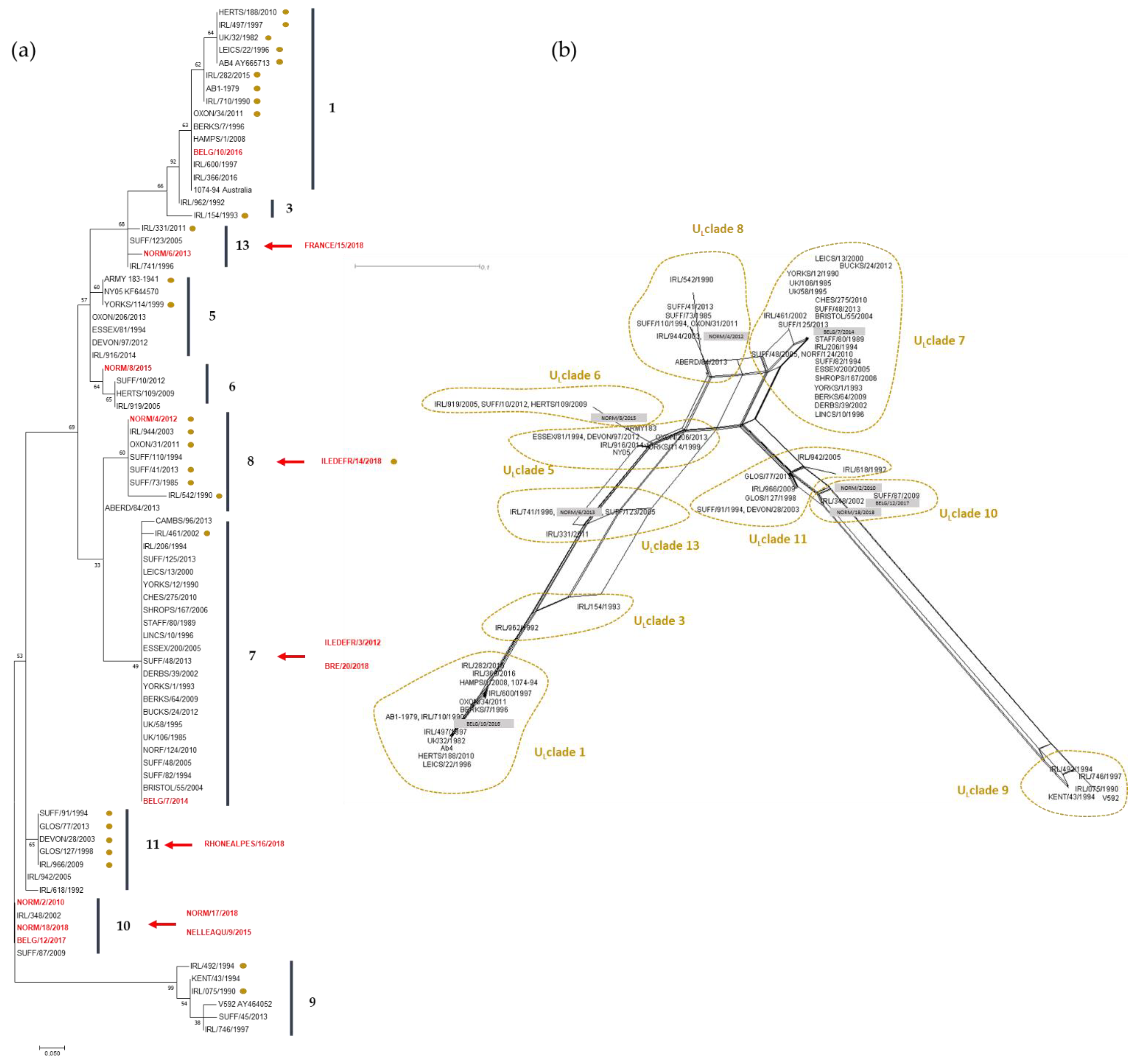 Viruses 11 00916 g004 Viruses 11 00916 g004