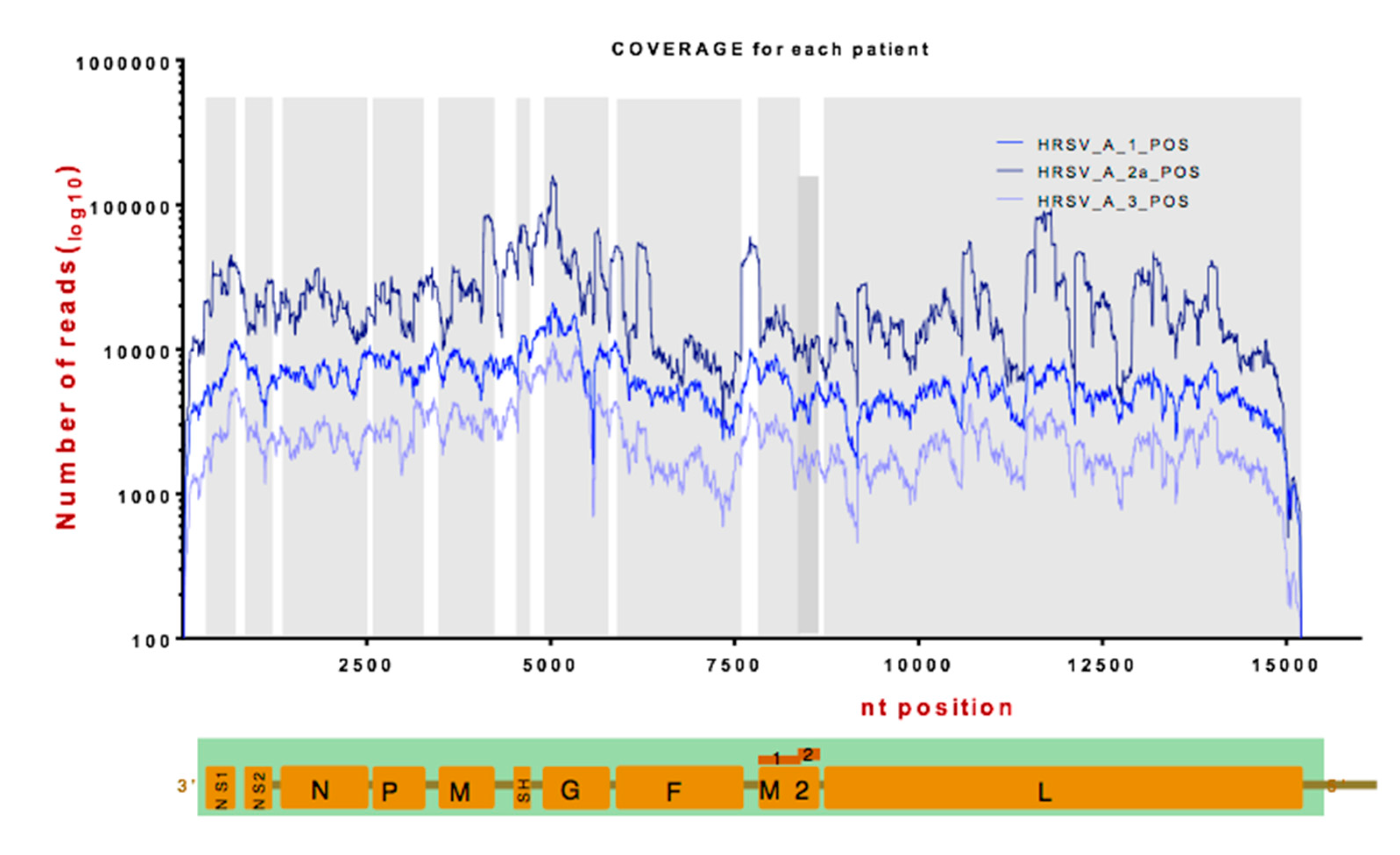 Viruses 11 00926 g002