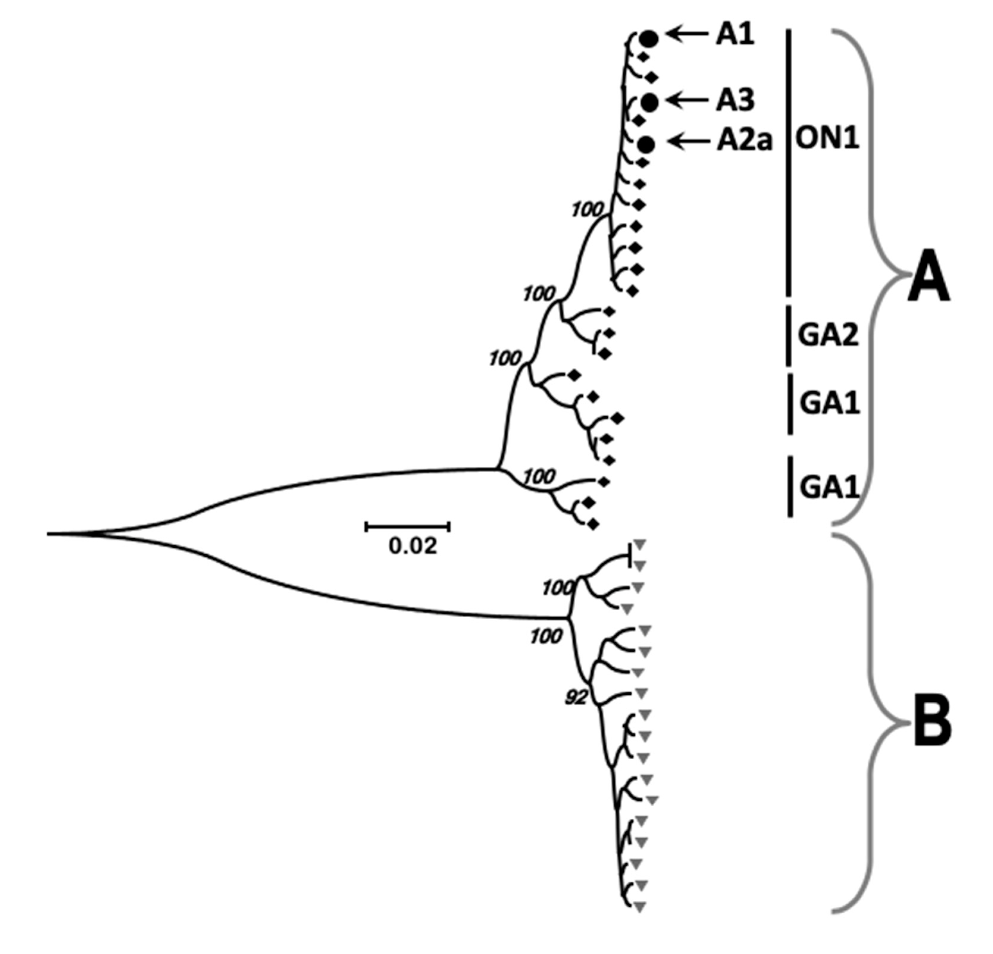 Viruses 11 00926 g003
