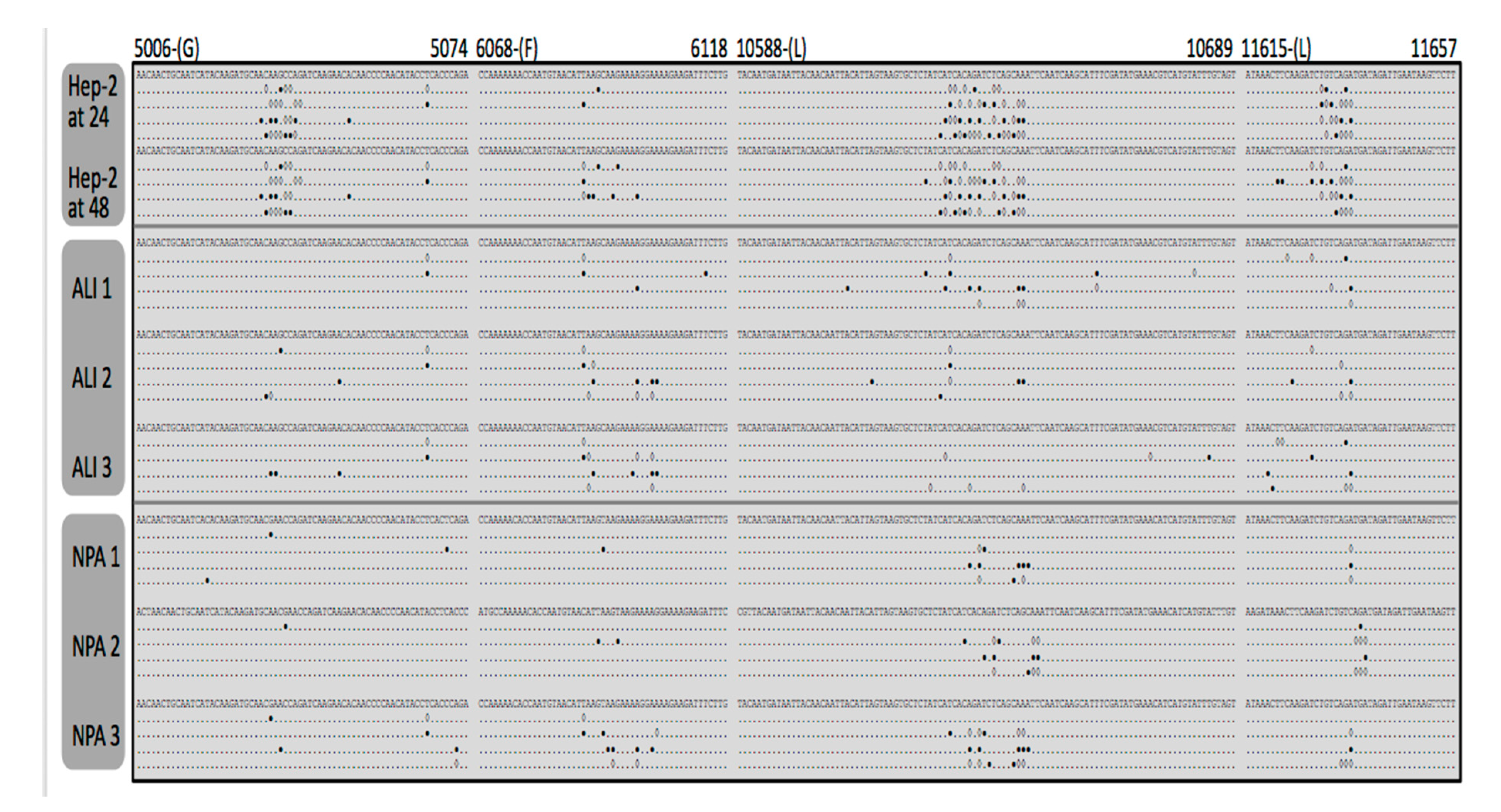 Viruses 11 00926 g005