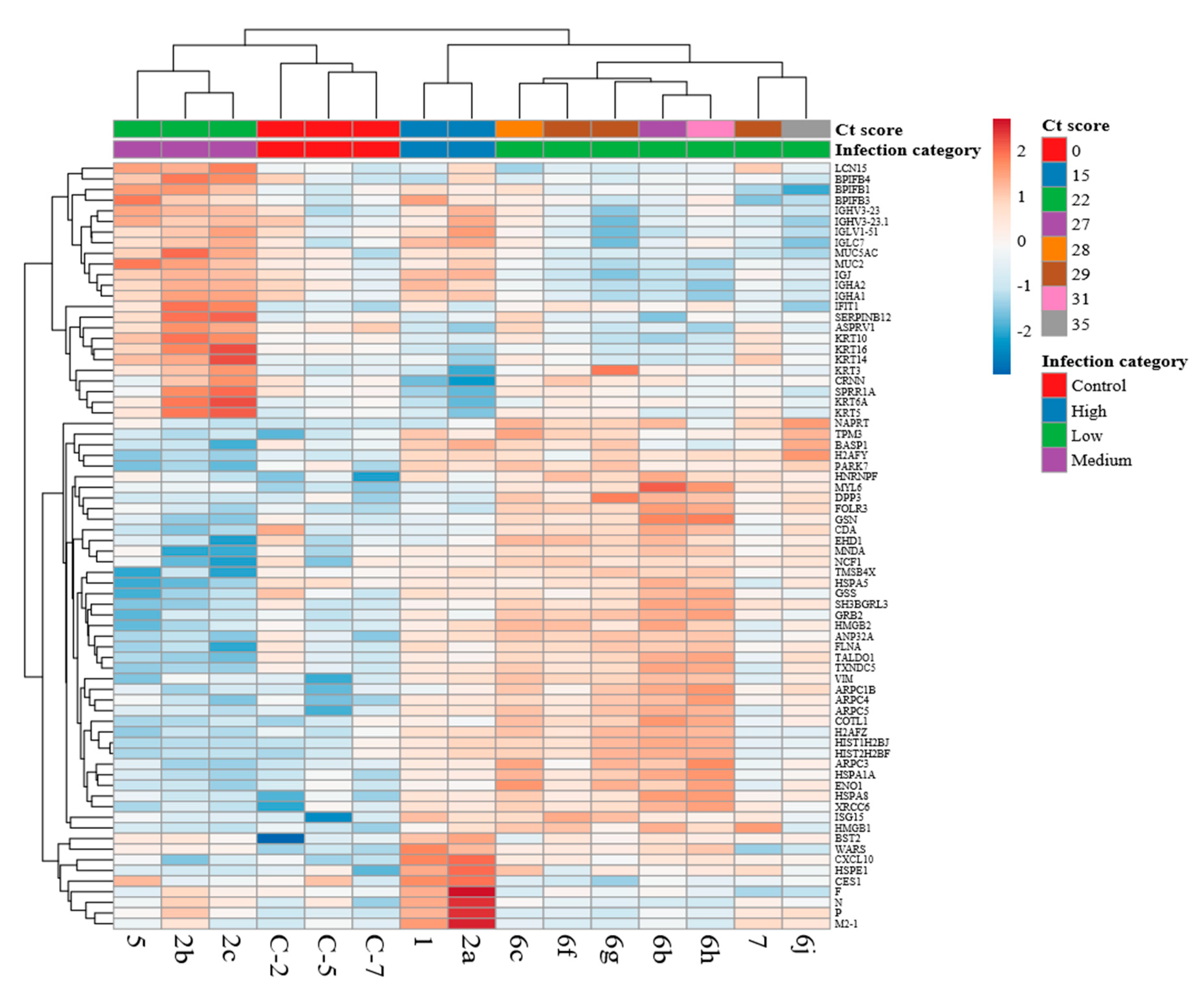 Viruses 11 00926 g007