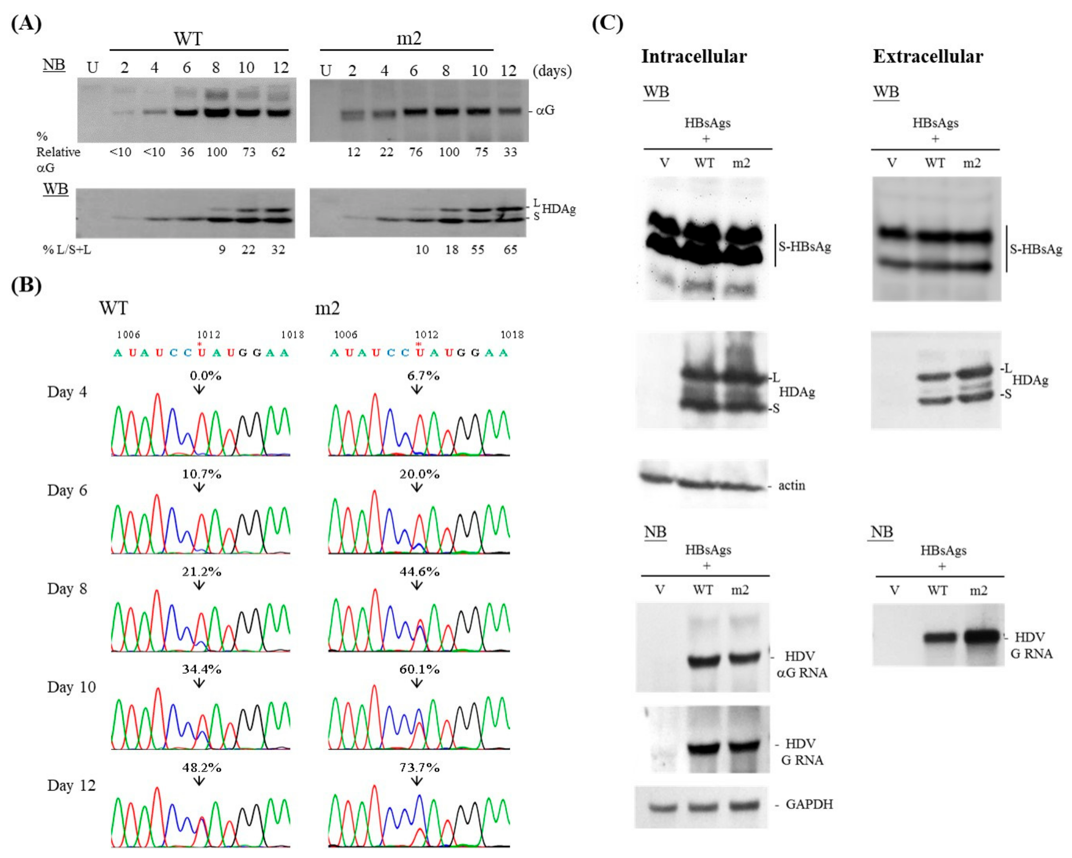 Viruses 11 00934 g003