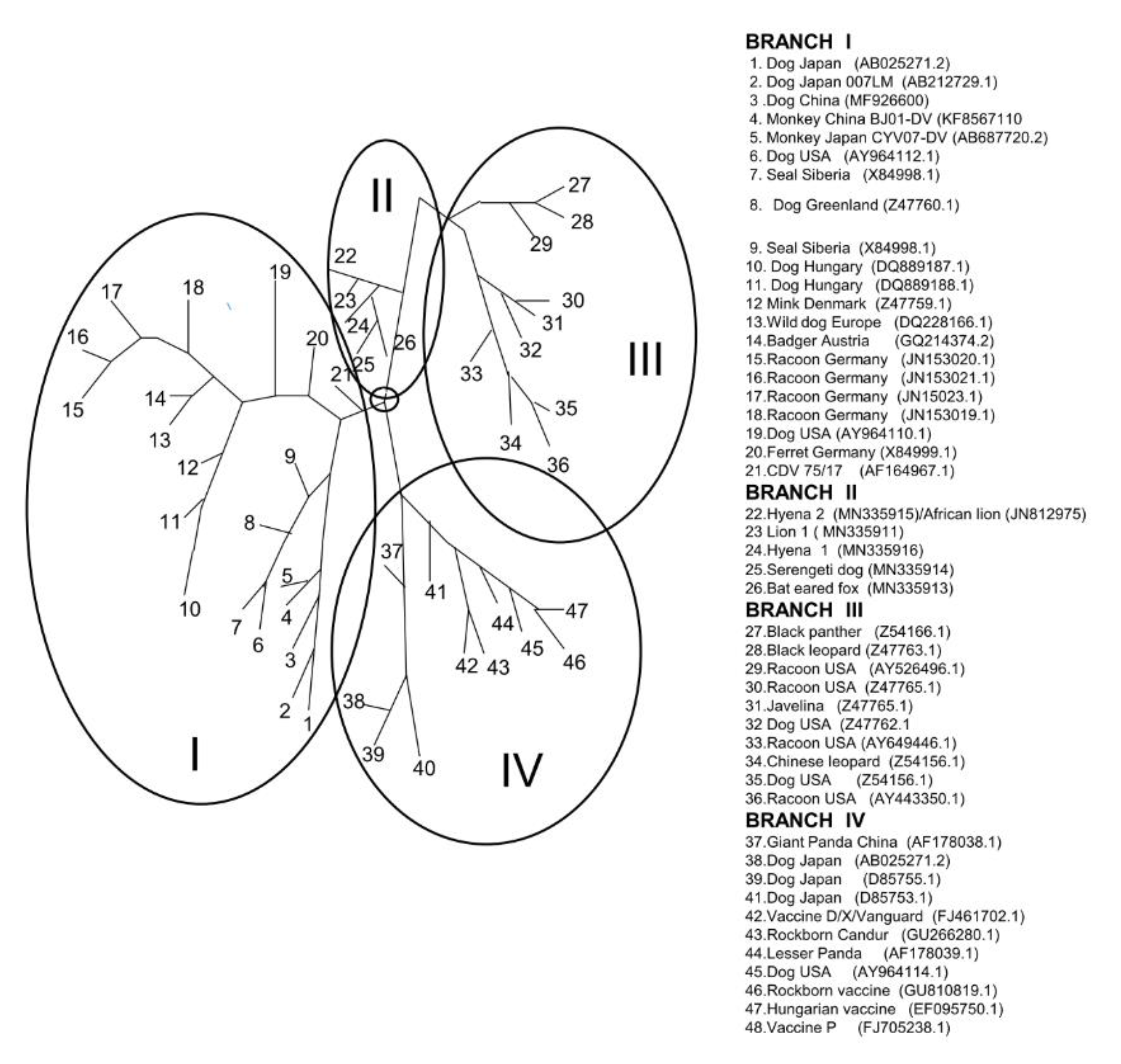 Viruses 11 00944 g002