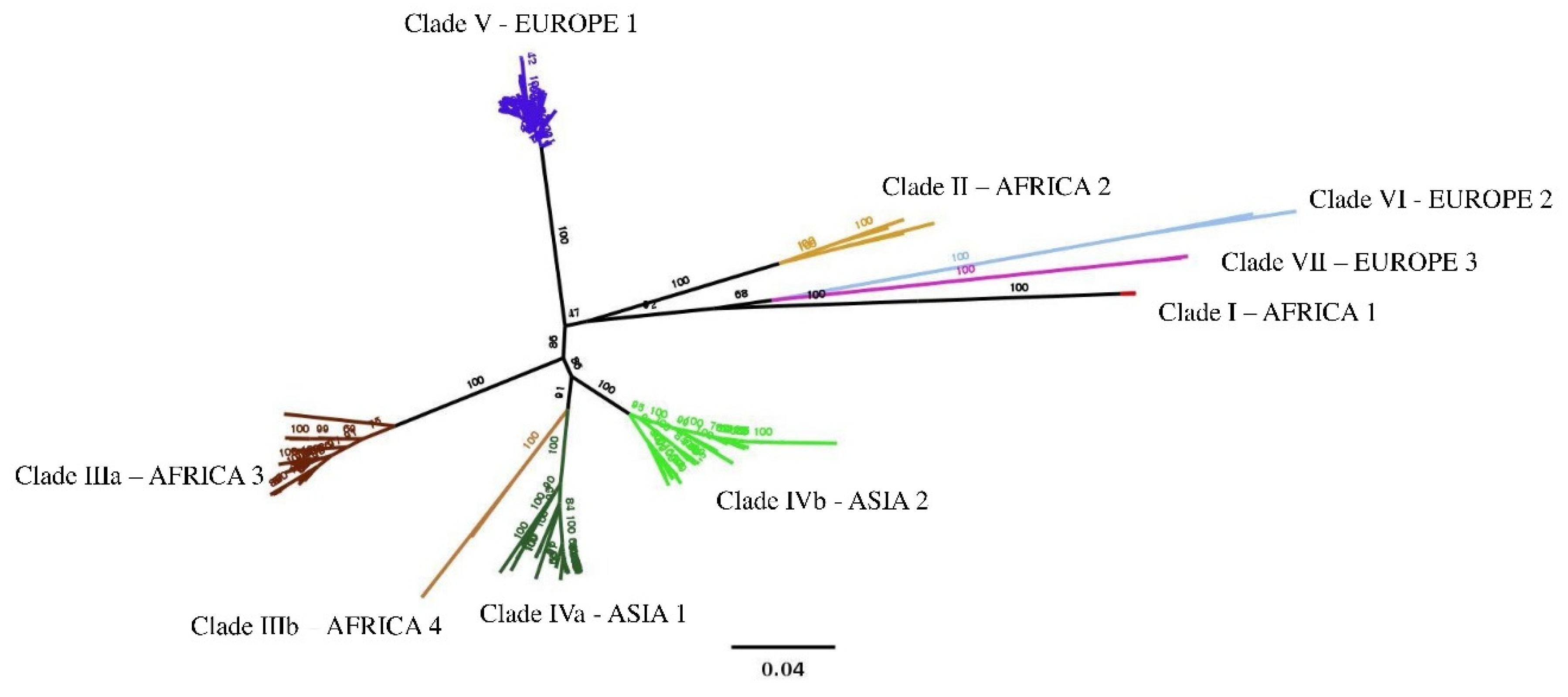 Viruses 11 00953 g002