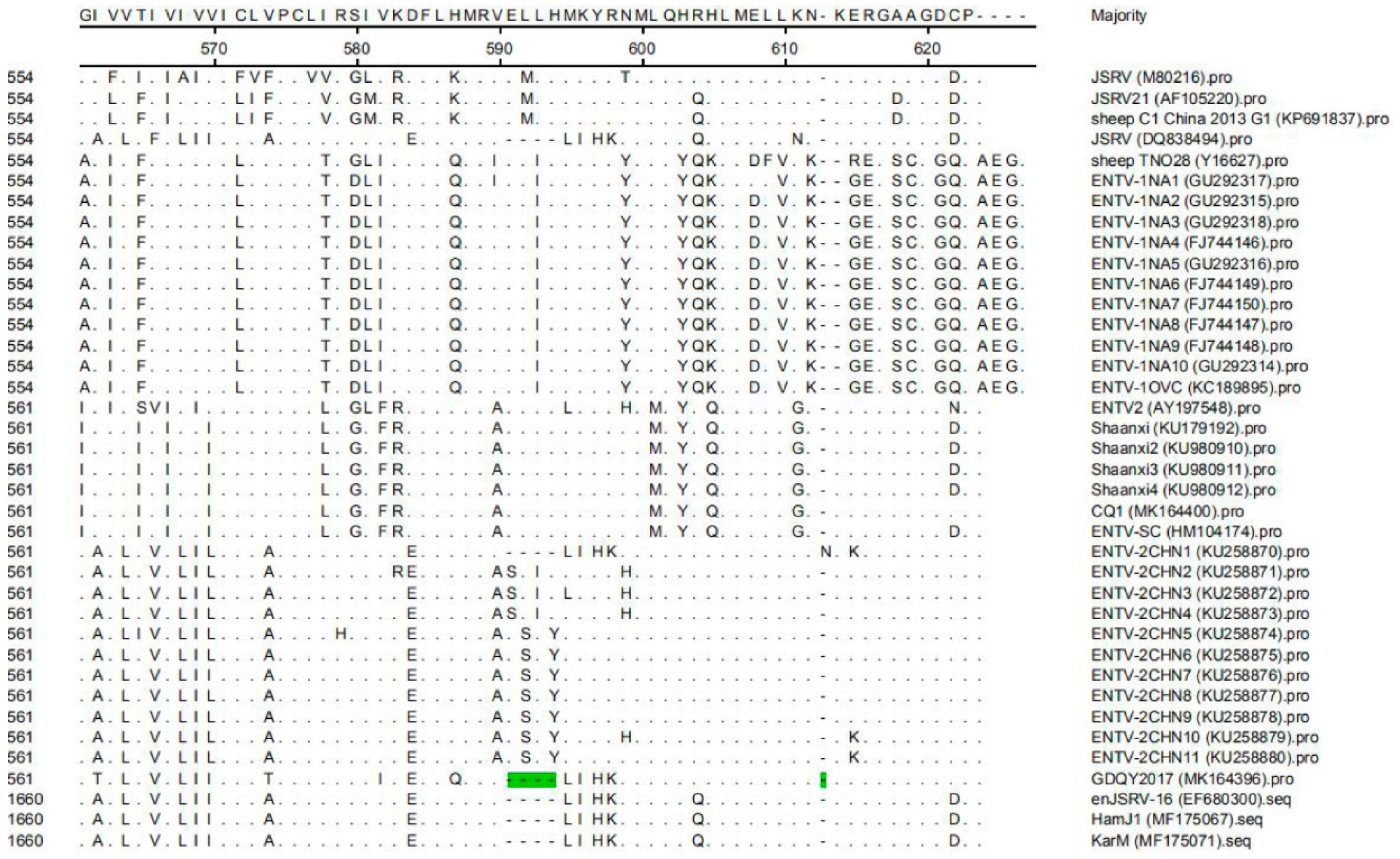 Viruses 11 00956 g006 Viruses 11 00956 g006