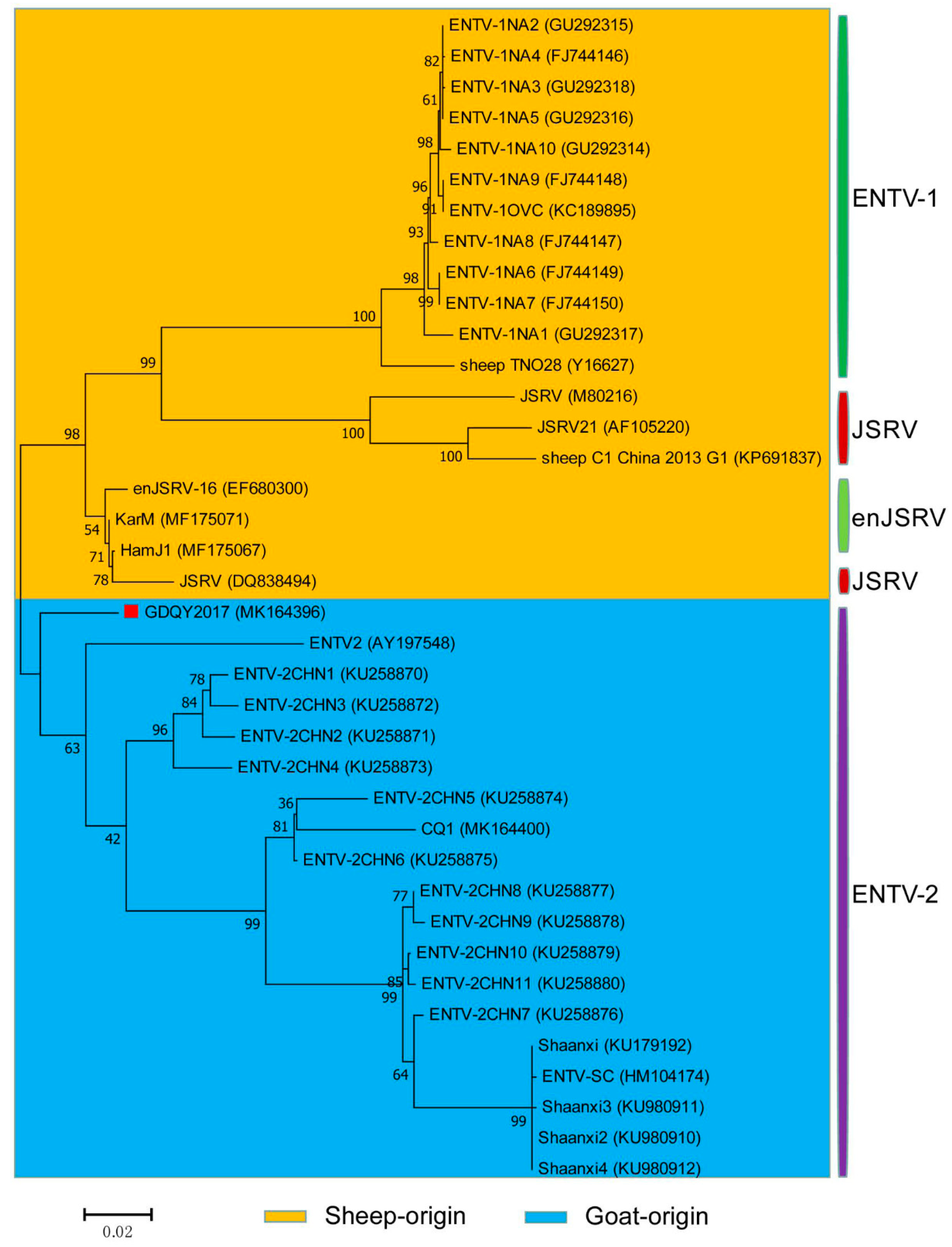 Viruses 11 00956 g008 Viruses 11 00956 g008