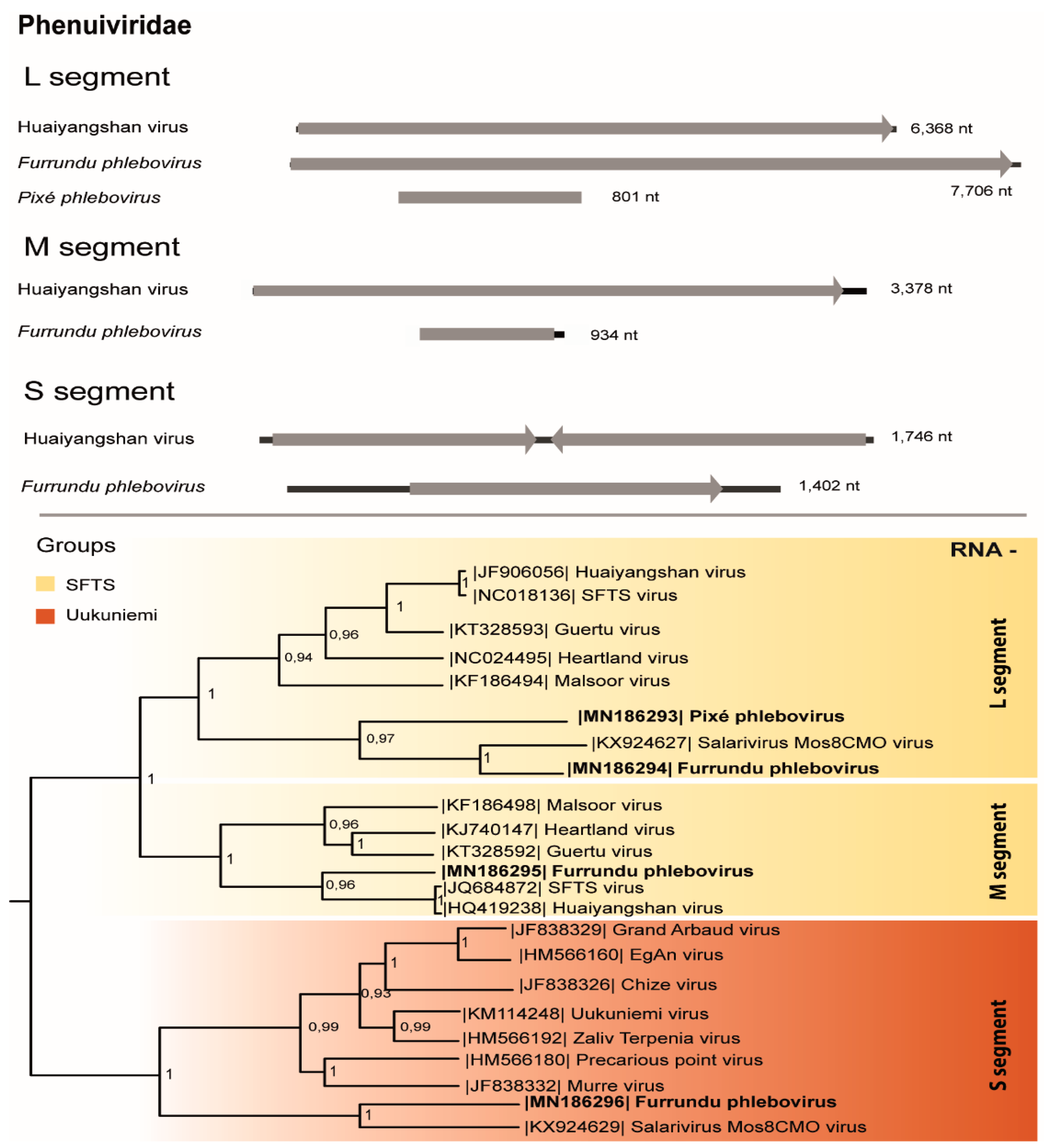 Viruses 11 00957 g003 Viruses 11 00957 g003