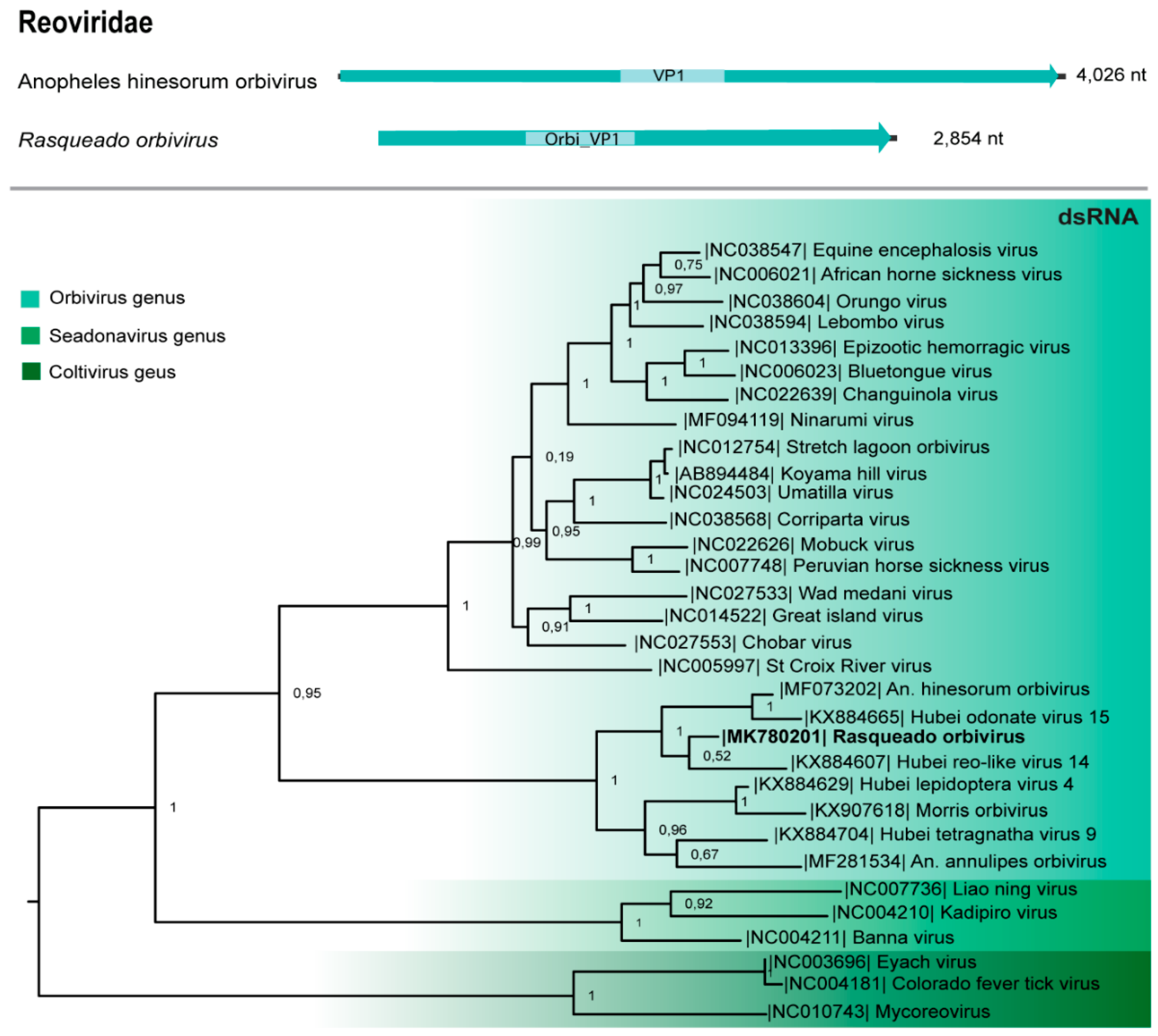 Viruses 11 00957 g005 Viruses 11 00957 g005