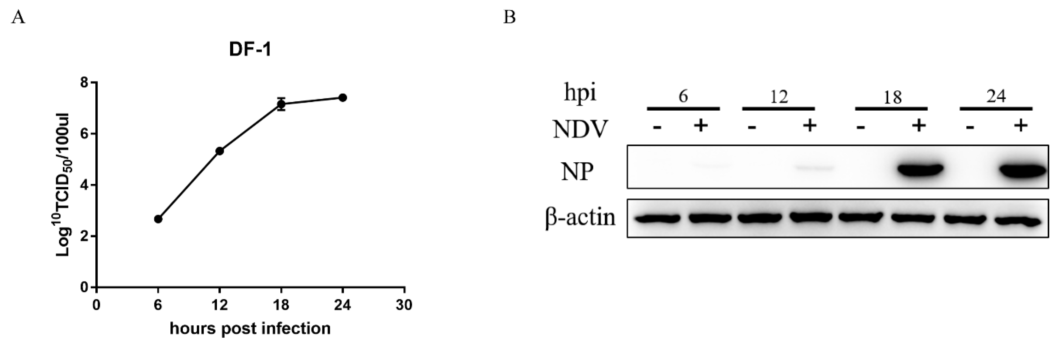 Viruses 11 00962 g001