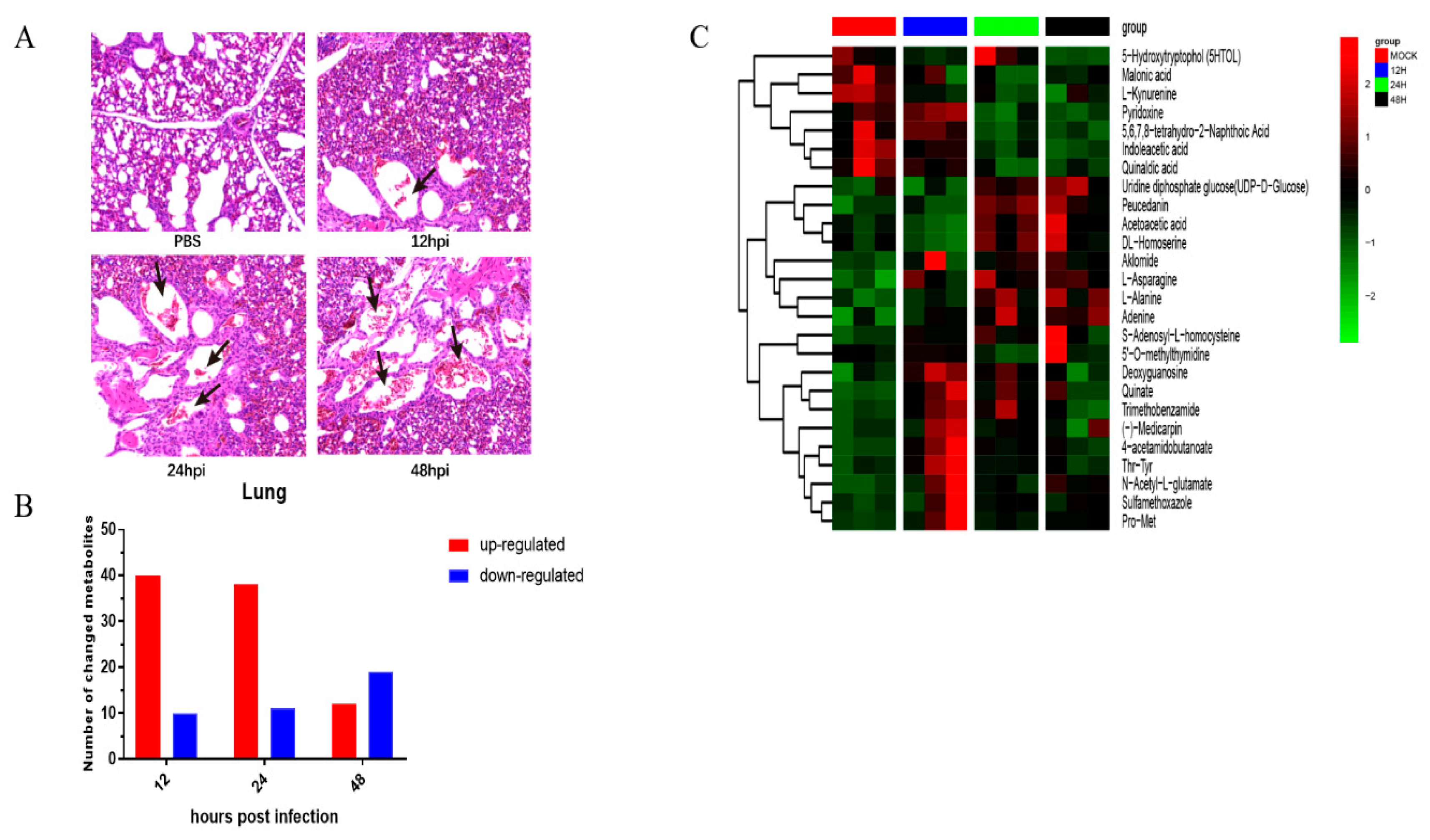 Viruses 11 00962 g007