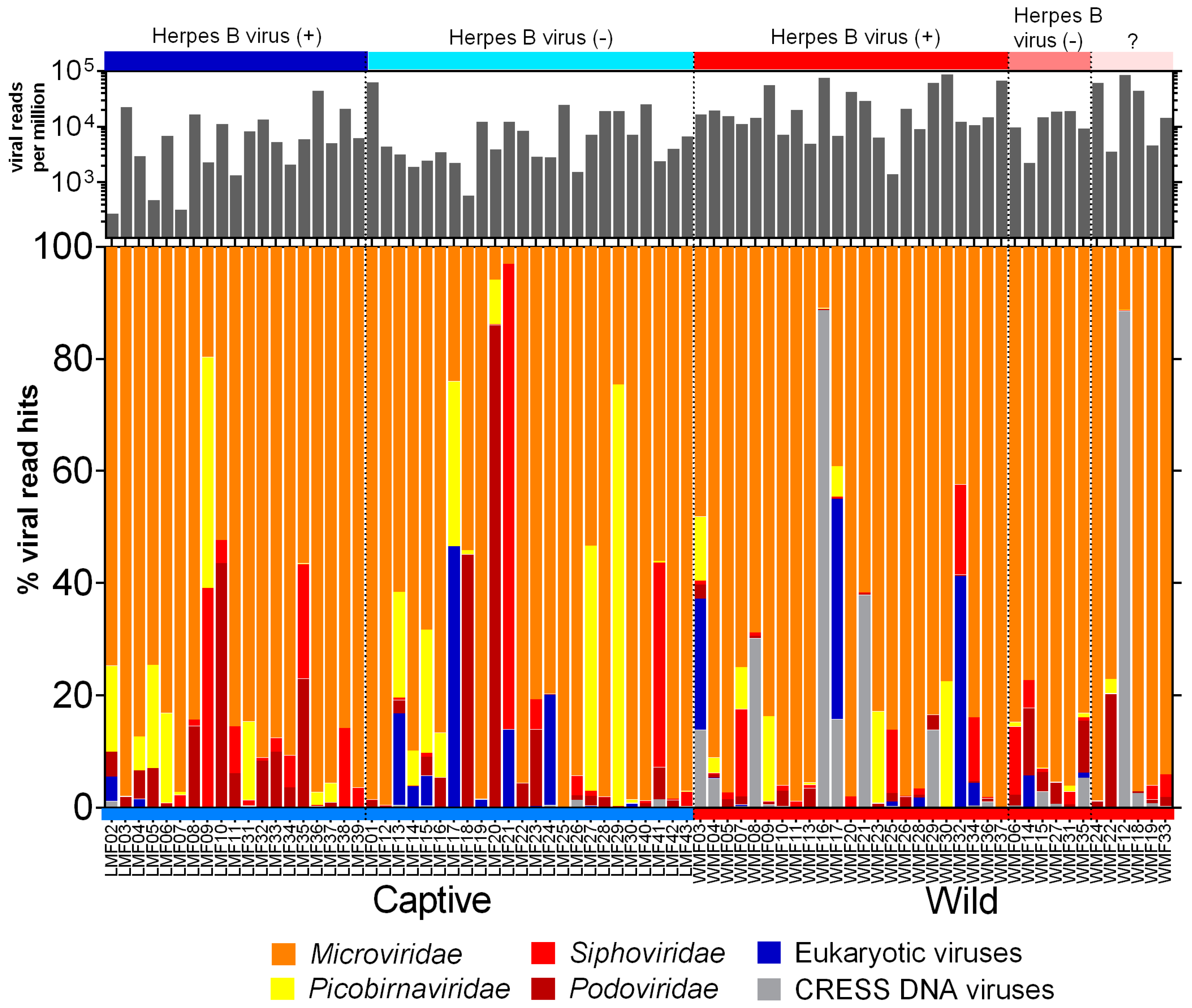Viruses 11 00971 g001