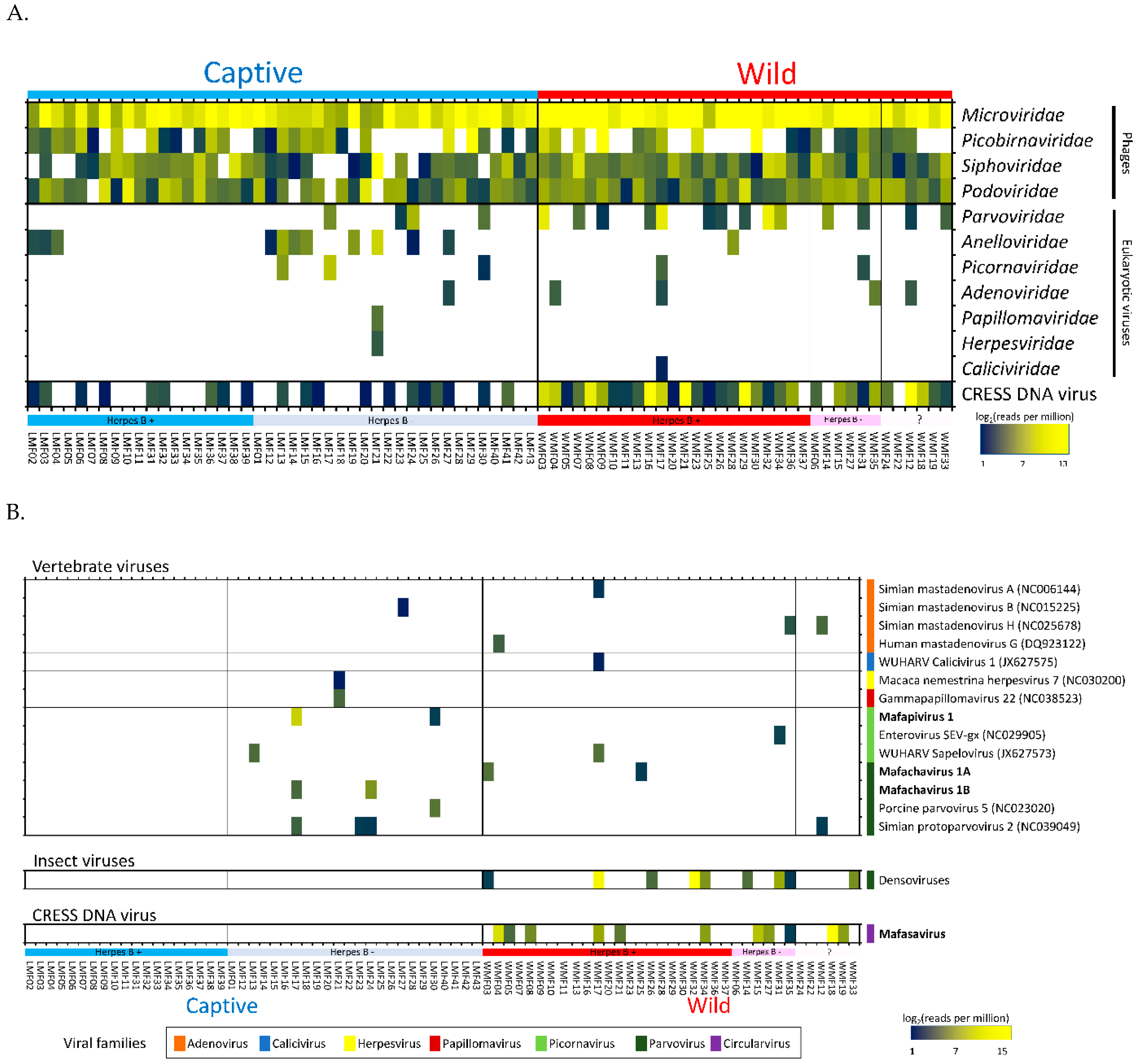 Viruses 11 00971 g002
