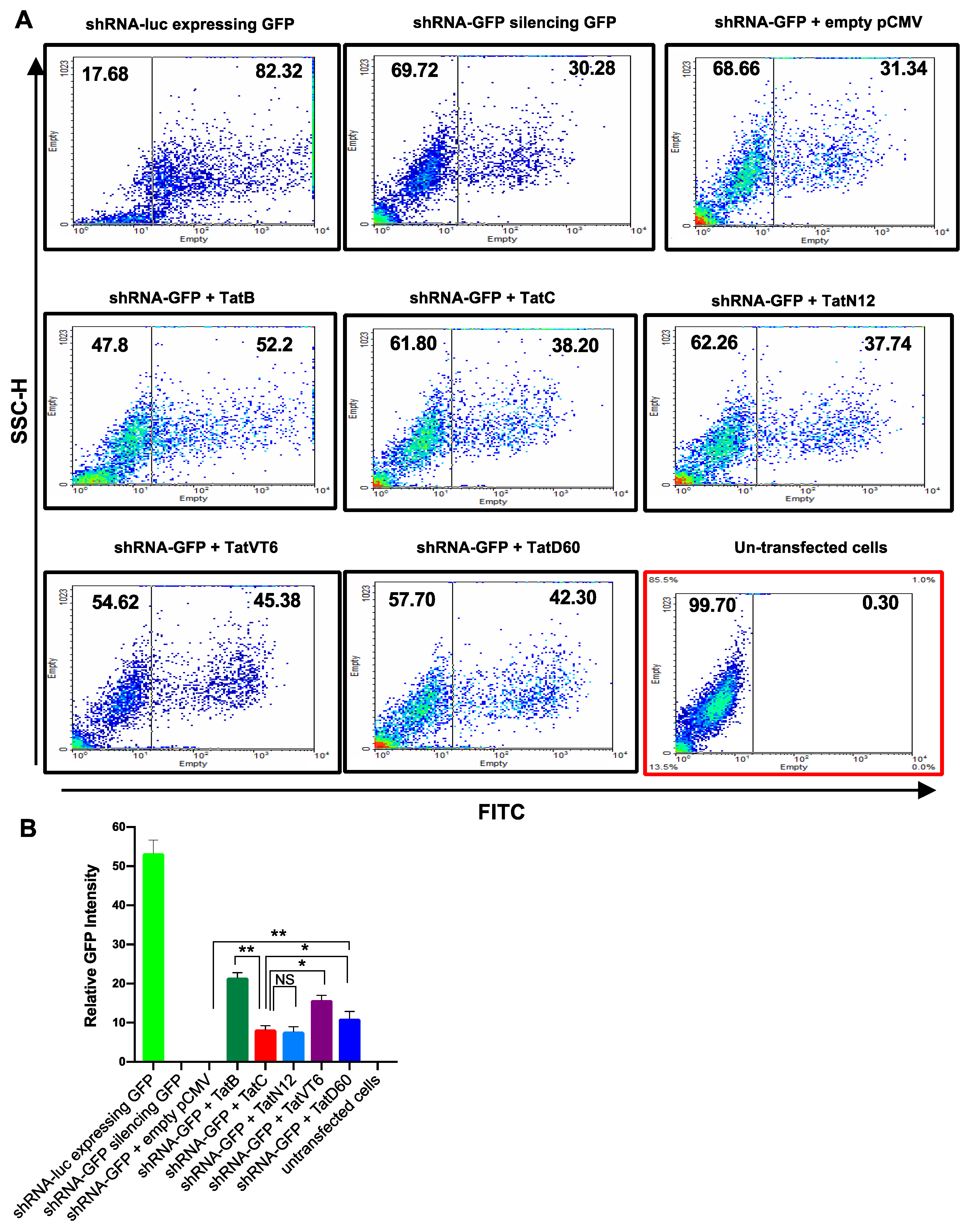 Viruses 11 00976 g002