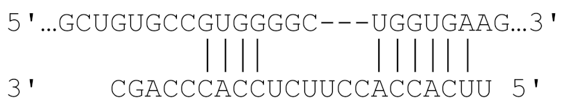 Viruses 11 00986 i002