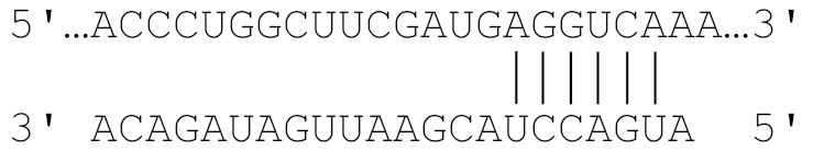 Viruses 11 00986 i004