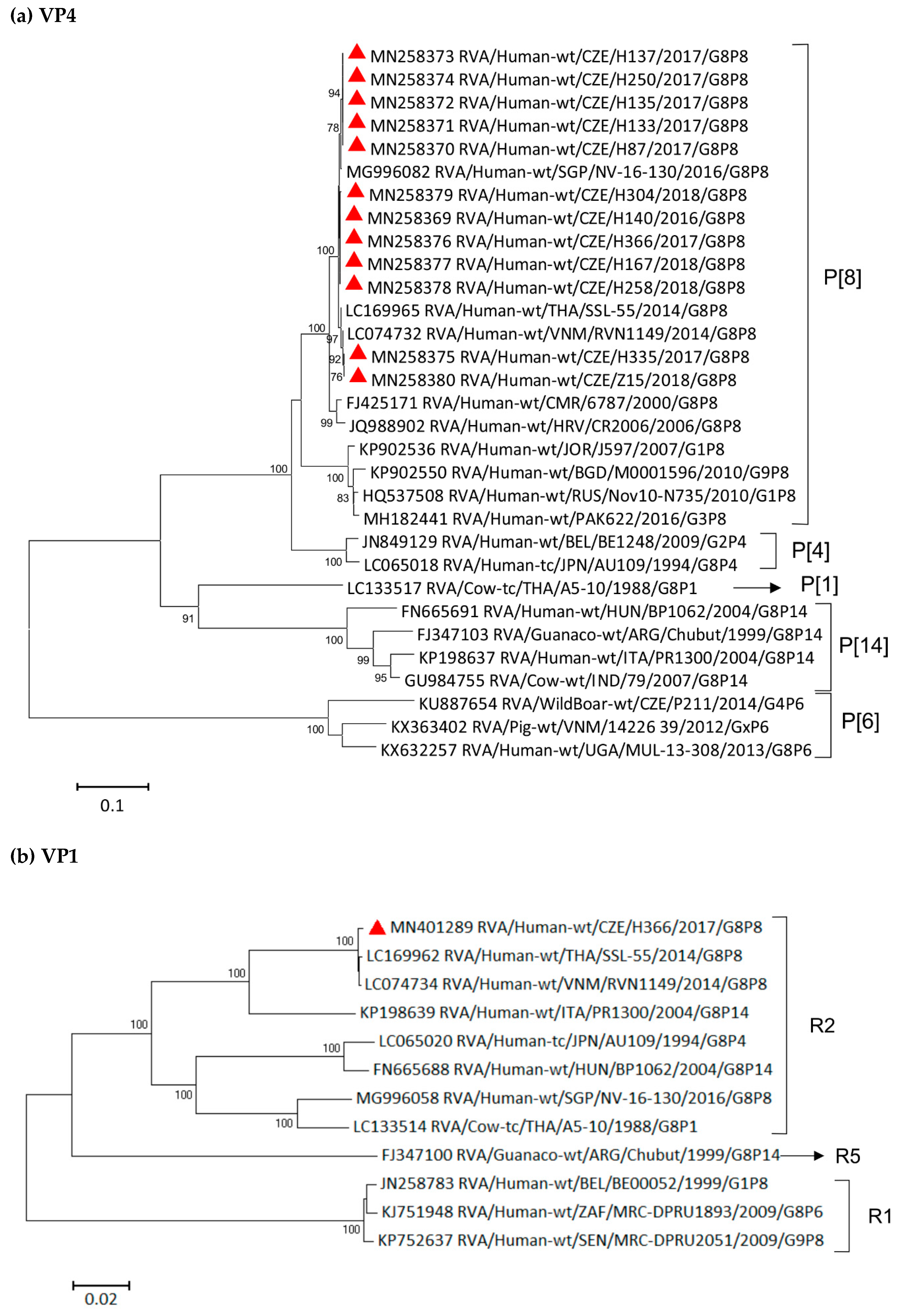 Viruses 11 01015 g003a