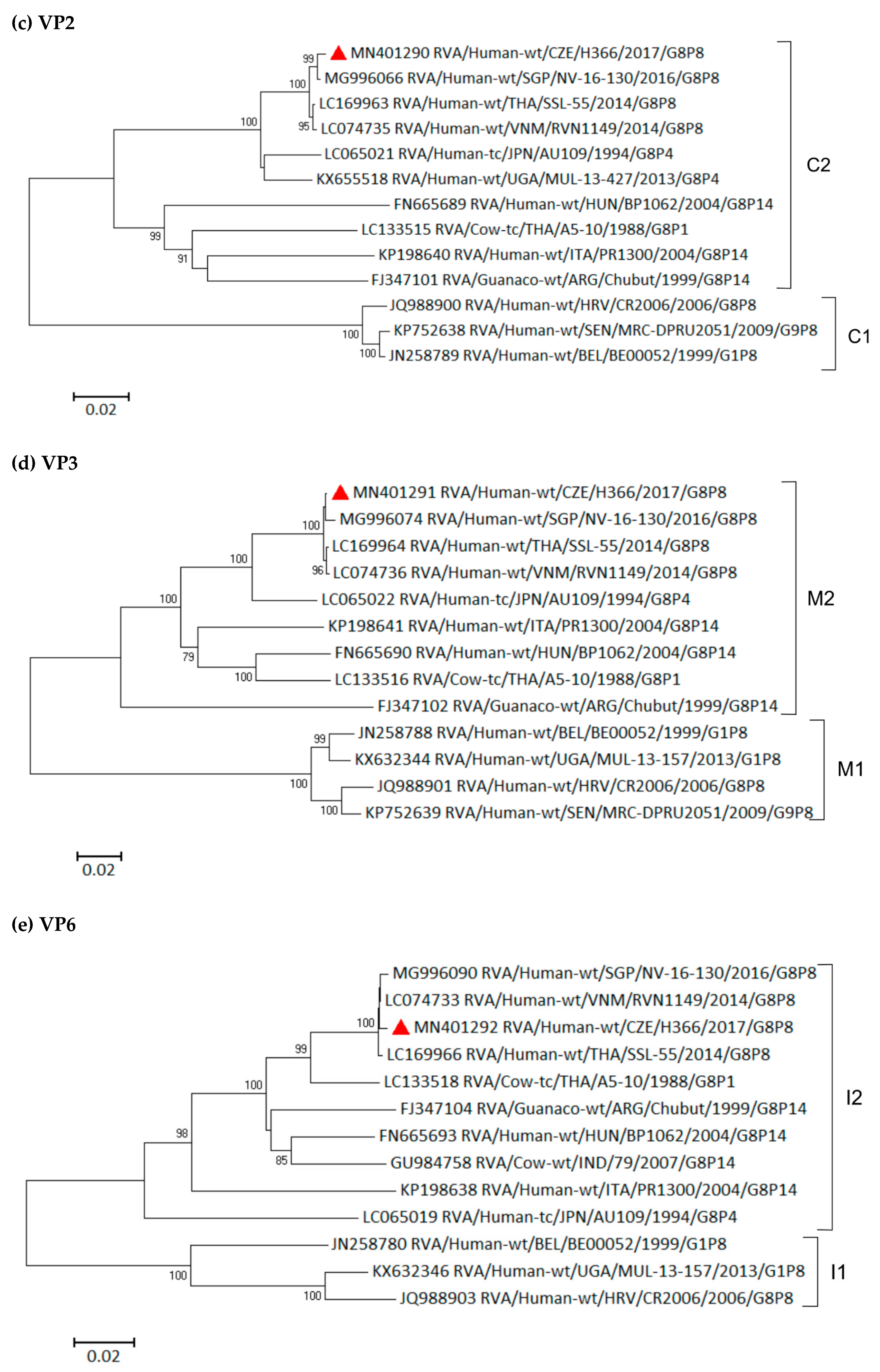 Viruses 11 01015 g003b