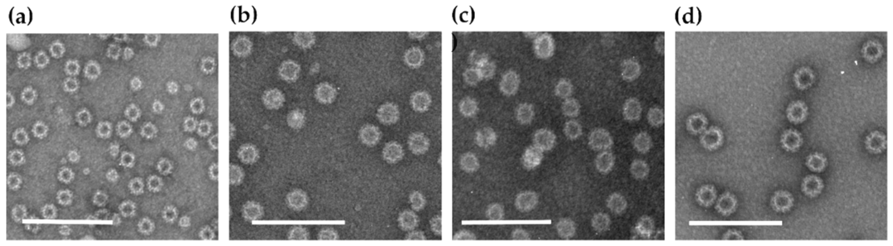 Viruses 11 01018 g001