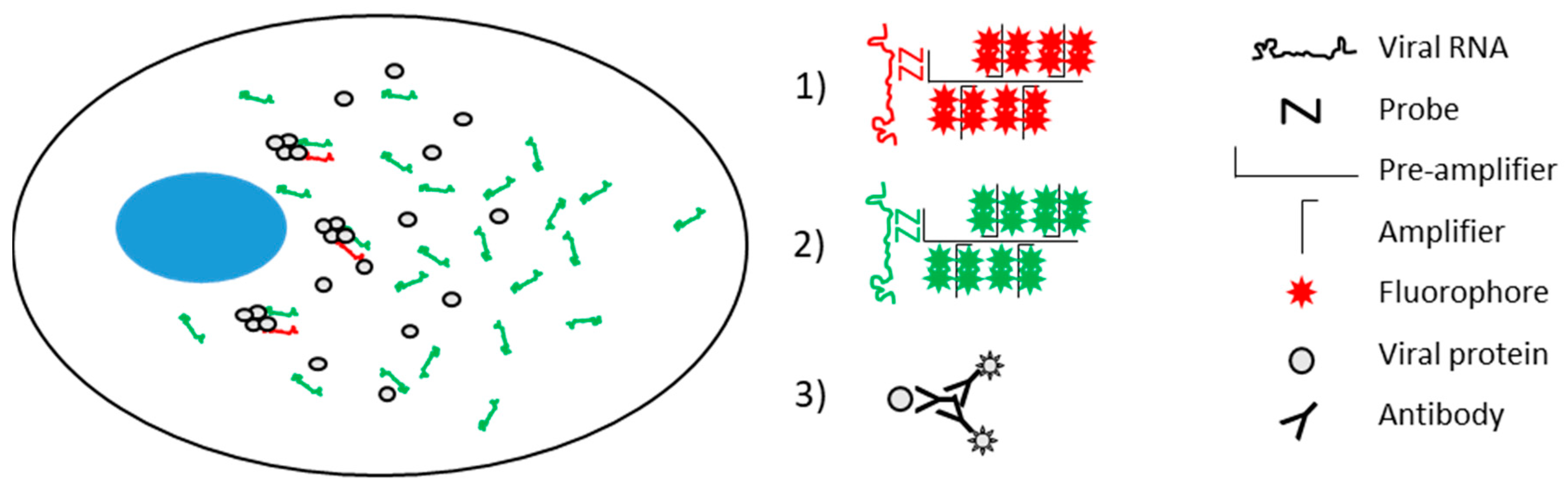 Viruses 11 01039 g001