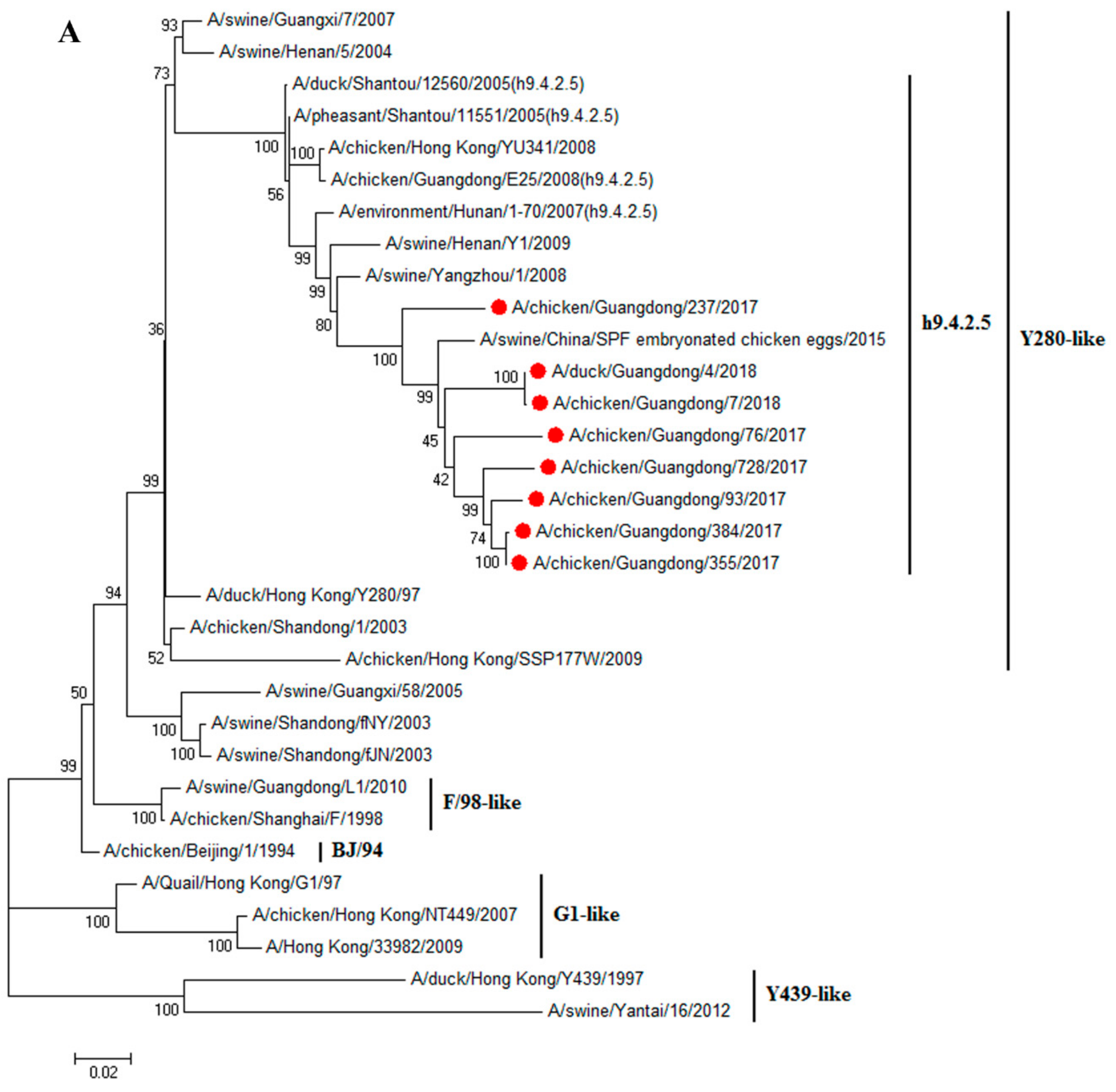 Viruses 11 01040 g001a