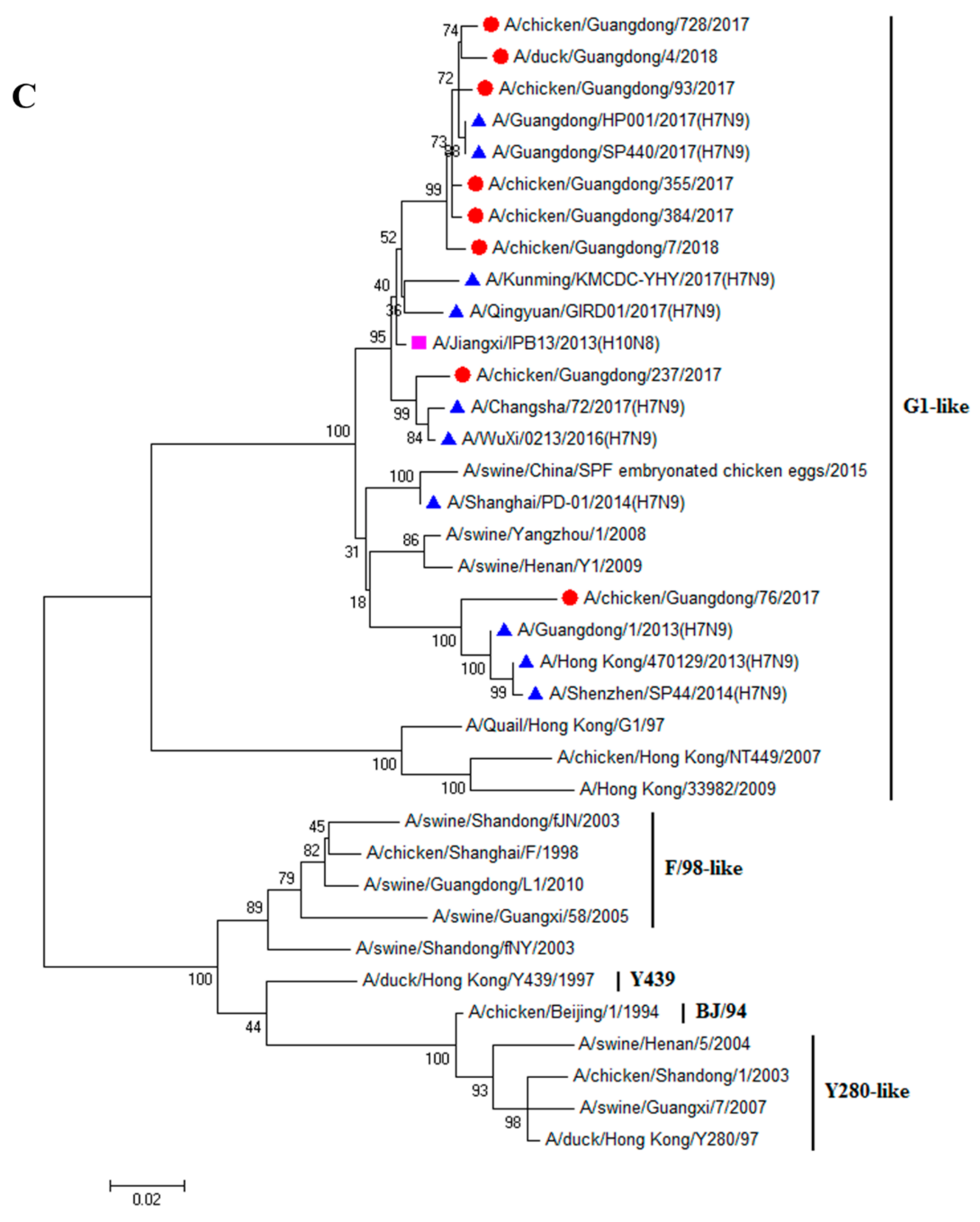Viruses 11 01040 g001c