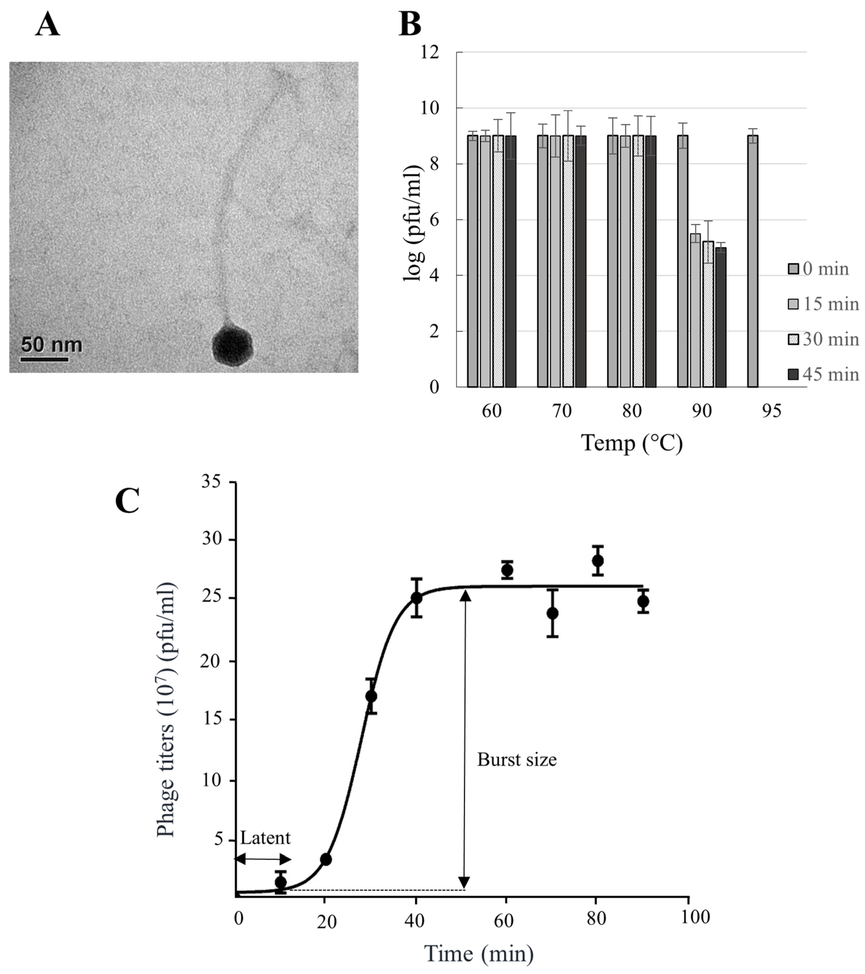 Viruses 11 01042 g002