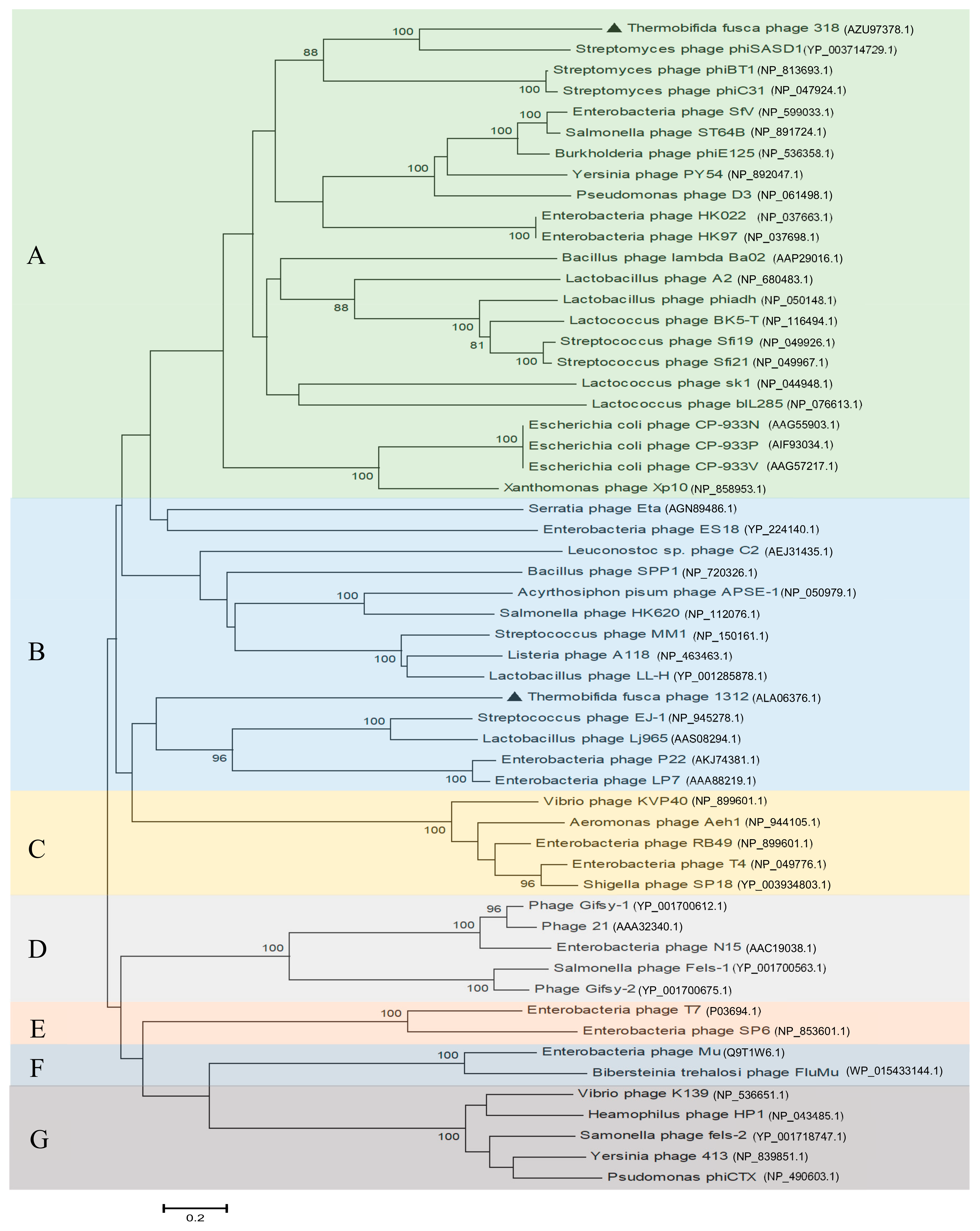Viruses 11 01042 g003