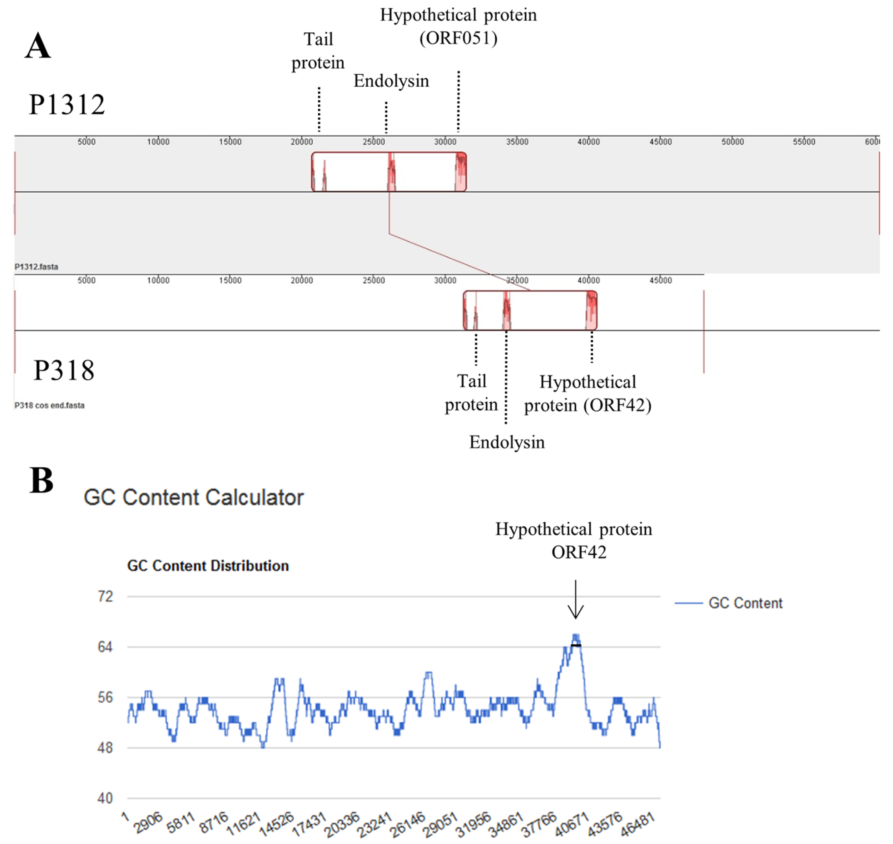 Viruses 11 01042 g006