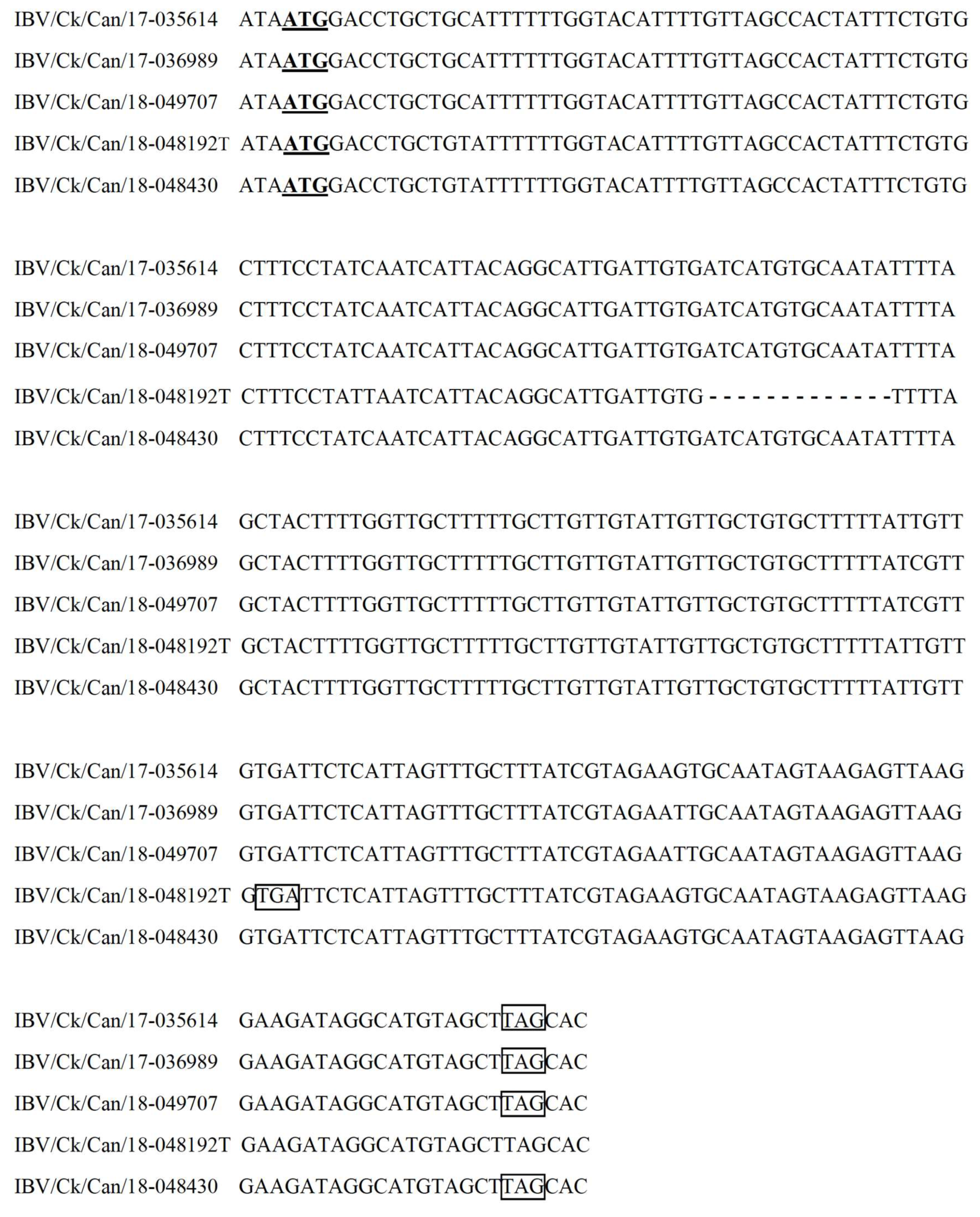 Viruses 11 01054 g002
