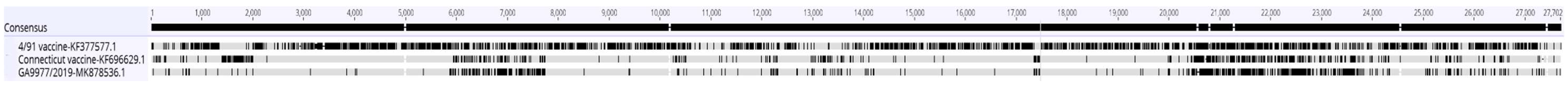 Viruses 11 01054 g004