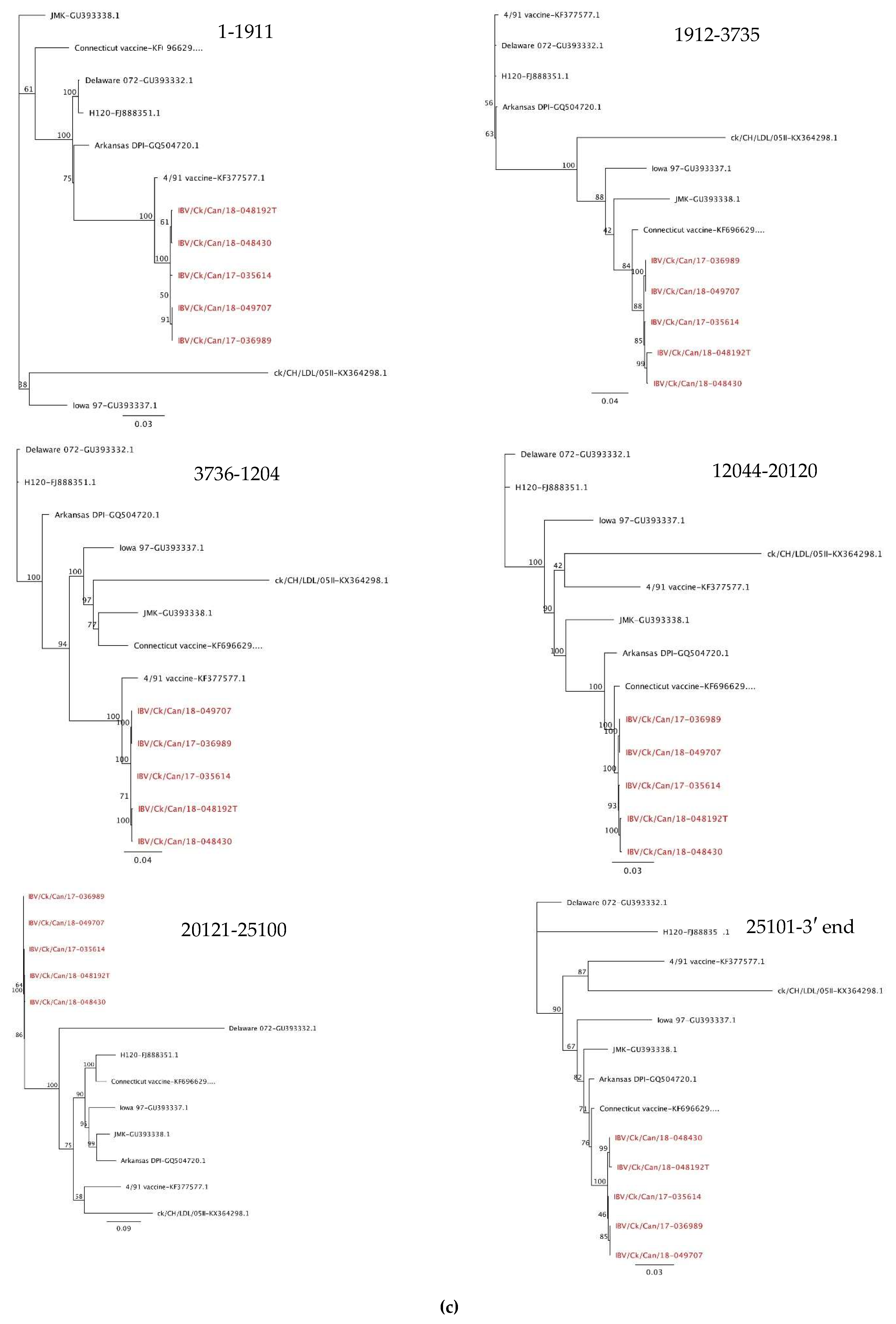 Viruses 11 01054 g005b