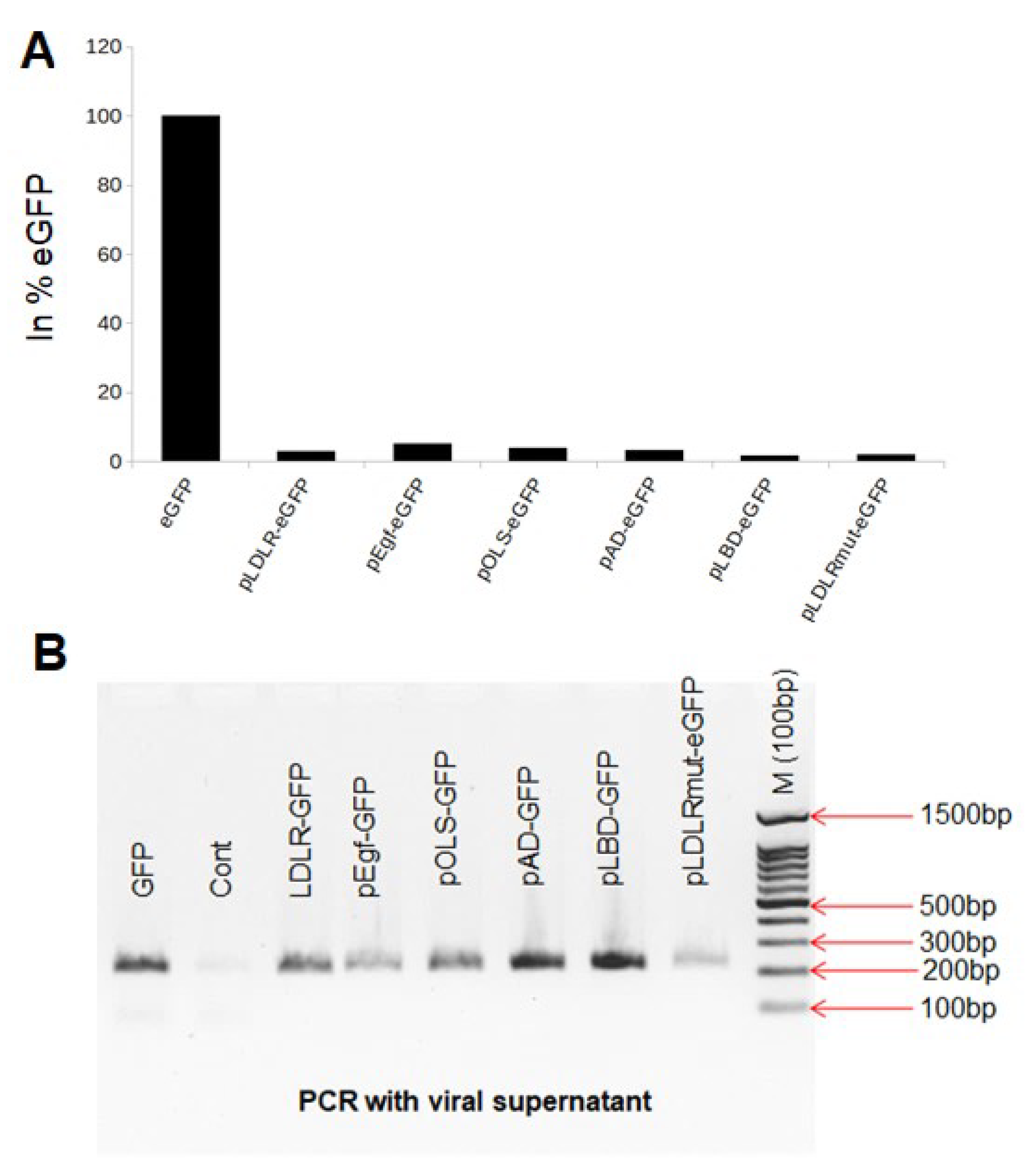 Viruses 11 01063 g002