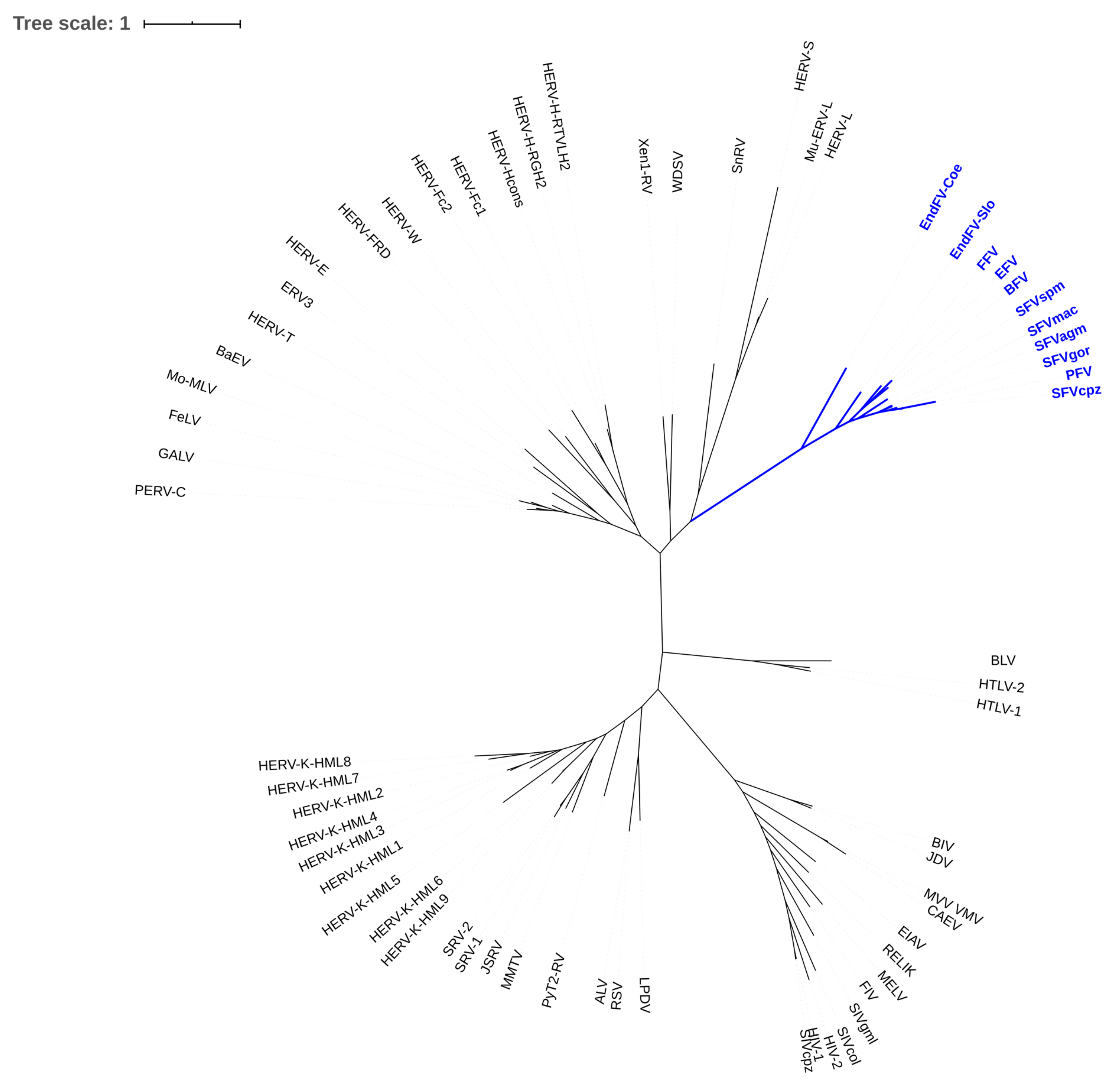 Viruses 11 01084 g001