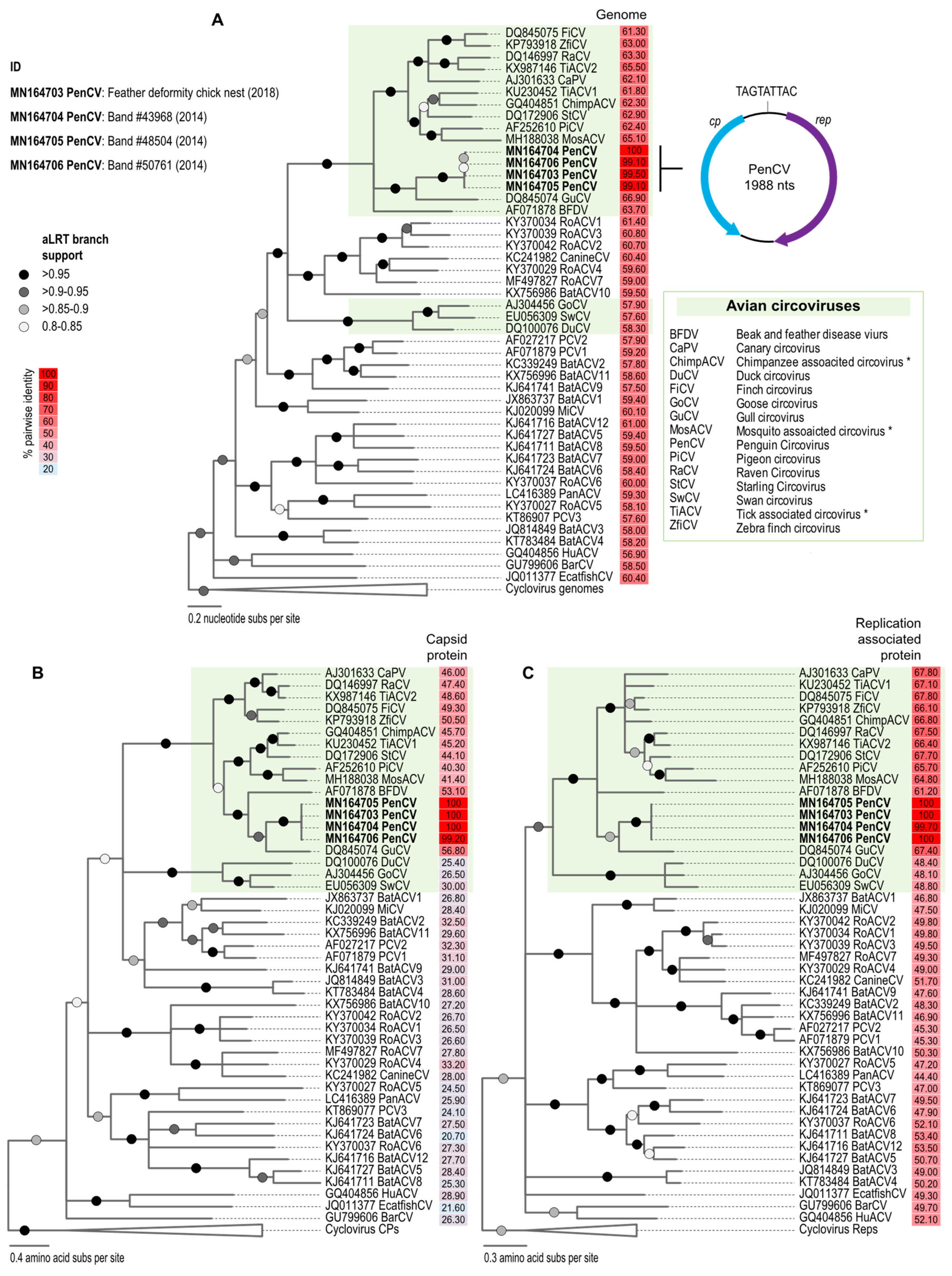 Viruses 11 01088 g002