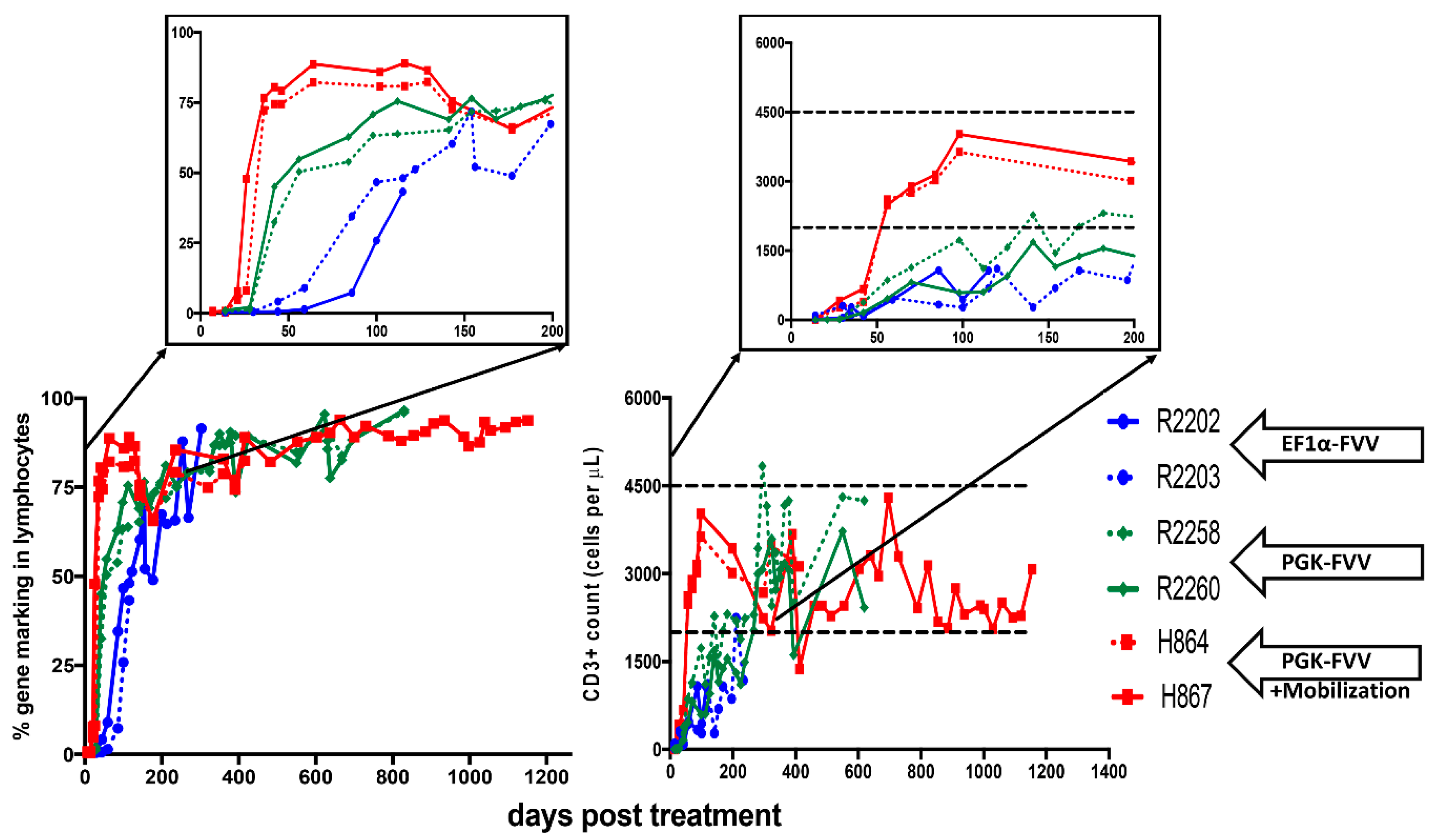 Viruses 11 01091 g001