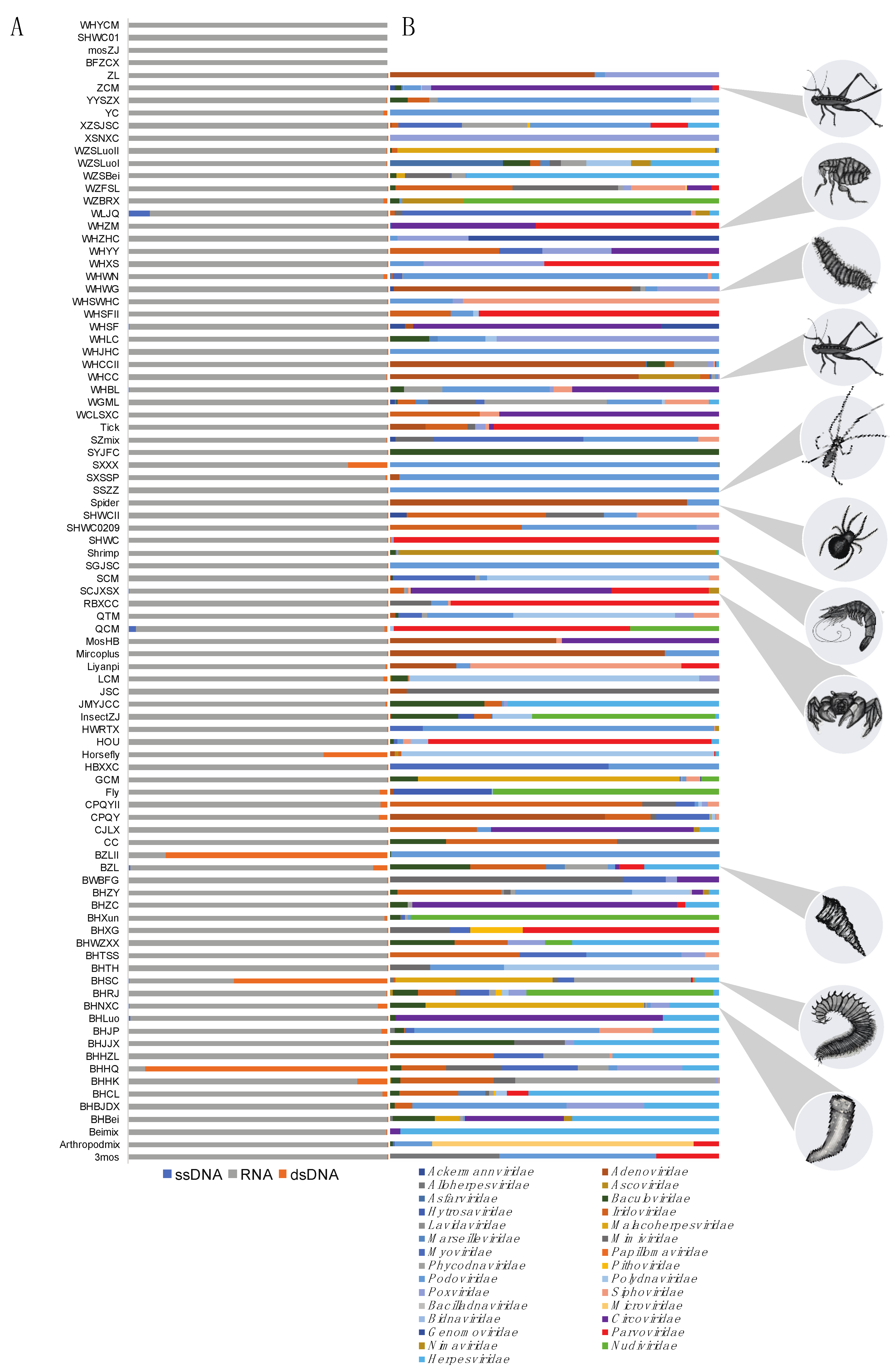 Viruses 11 01092 g001