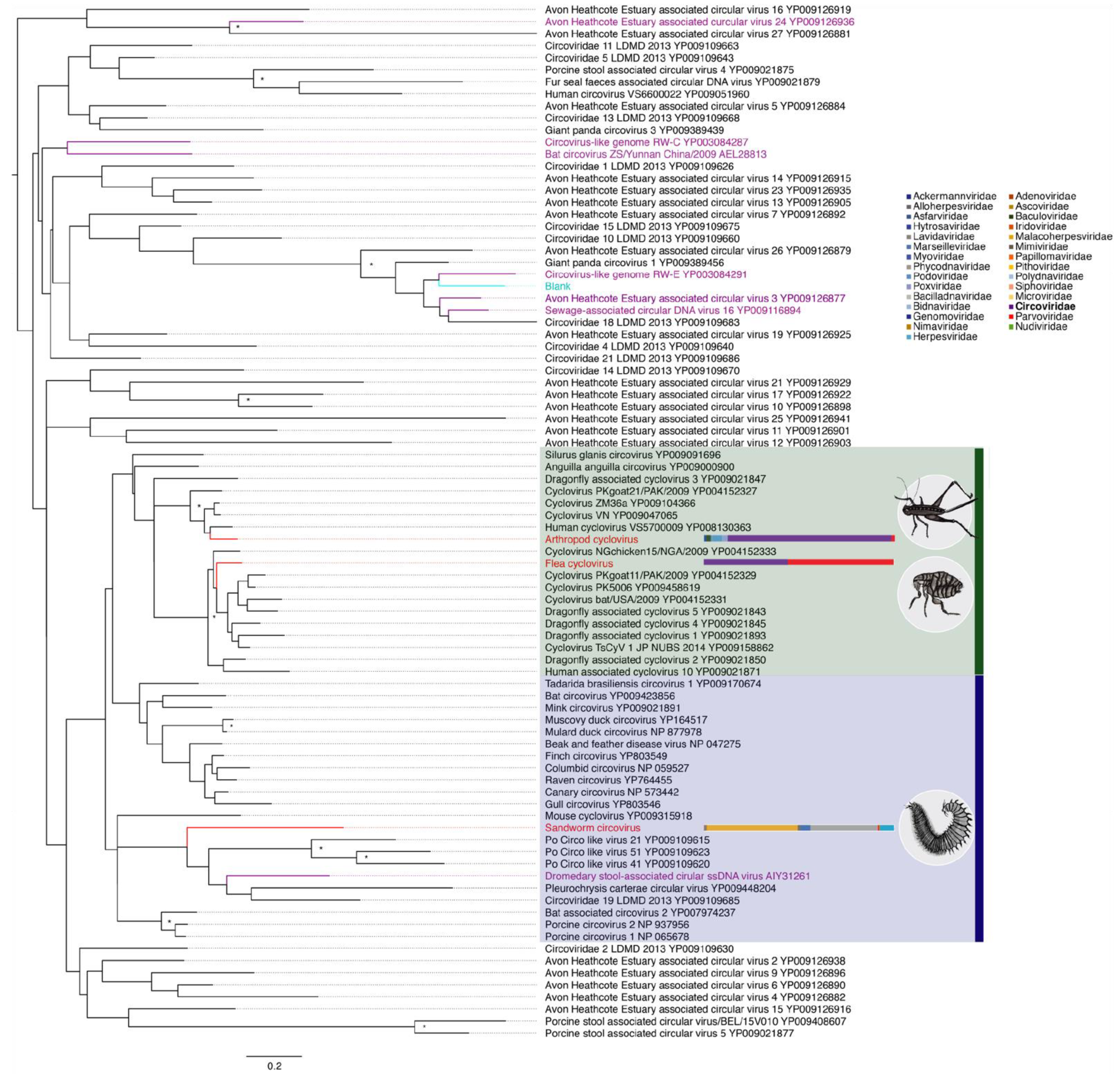 Viruses 11 01092 g003