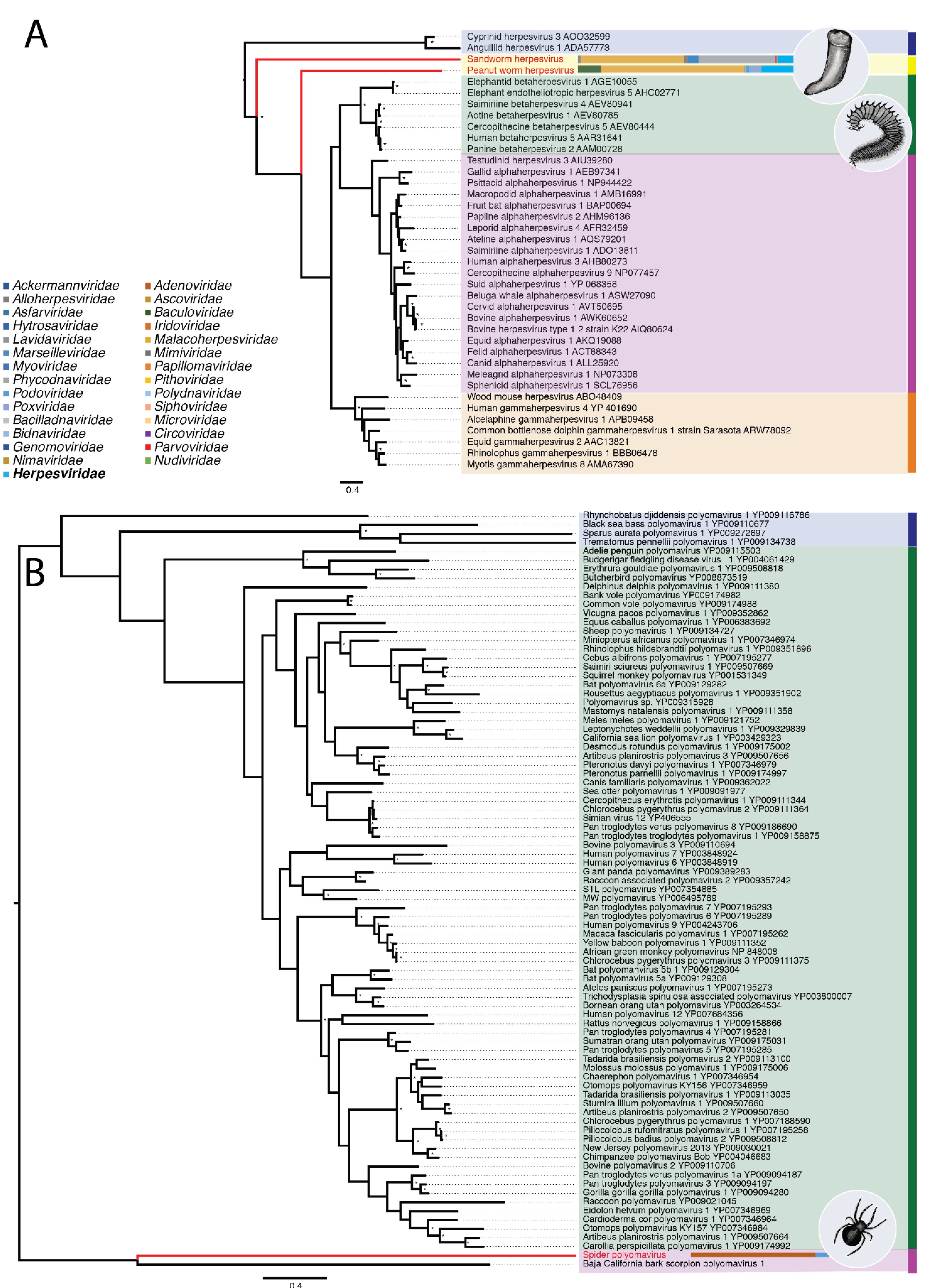 Viruses 11 01092 g004