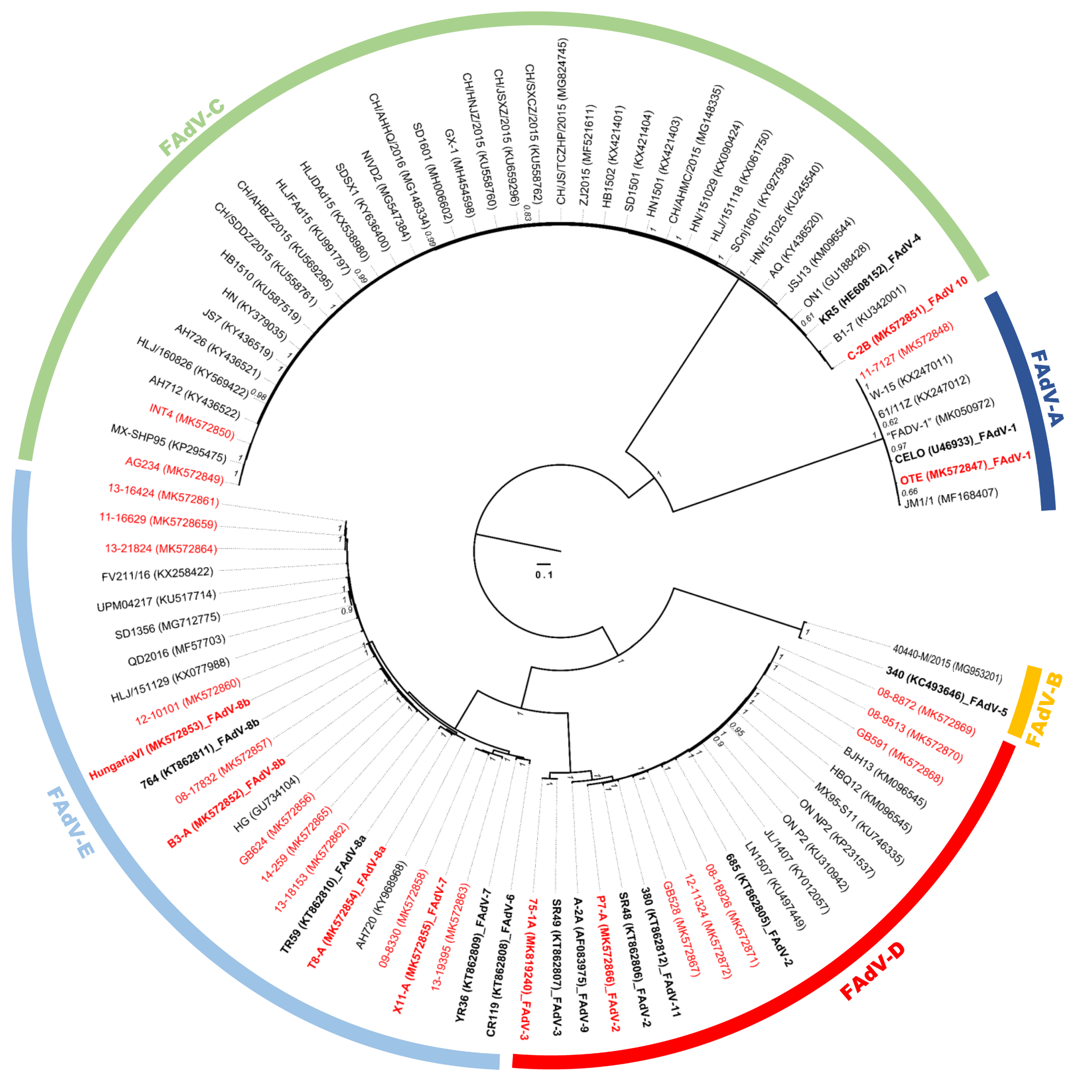 Viruses 11 01094 g001 Viruses 11 01094 g001
