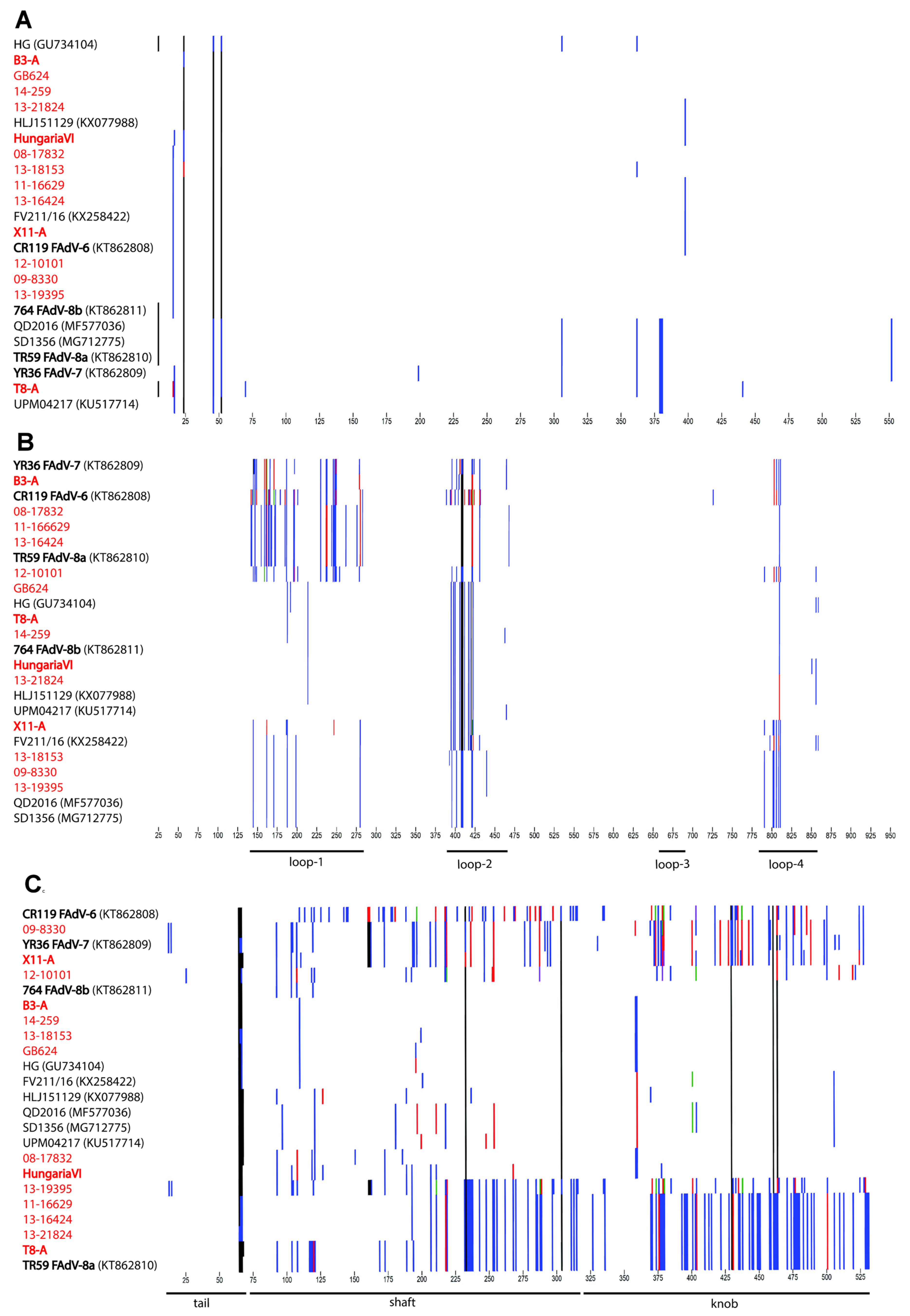 Viruses 11 01094 g004 Viruses 11 01094 g004
