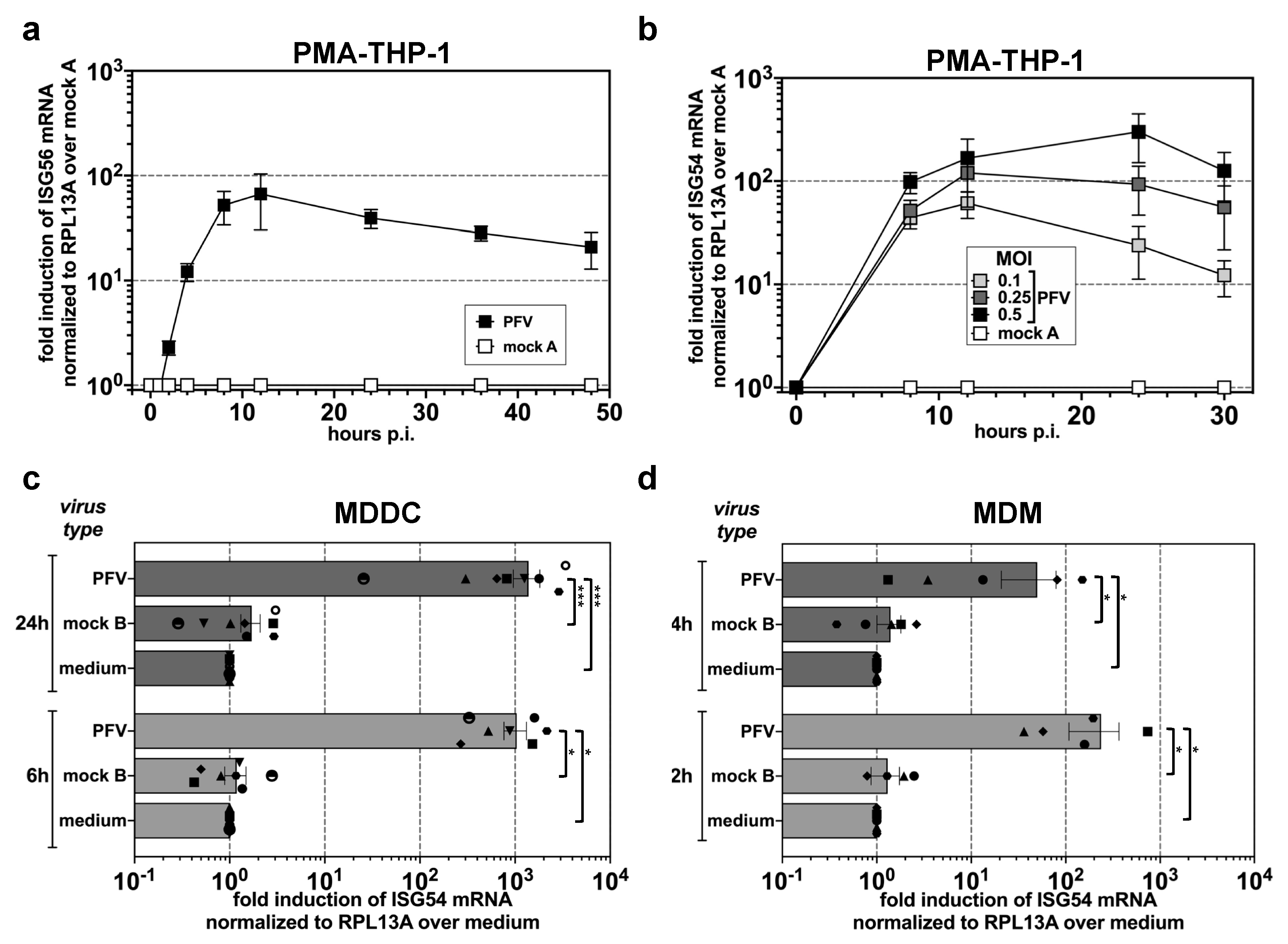 Viruses 11 01095 g001