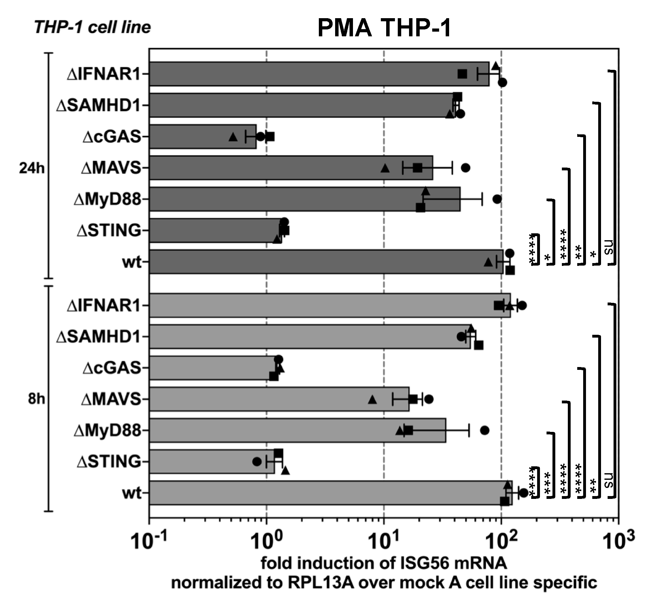 Viruses 11 01095 g002