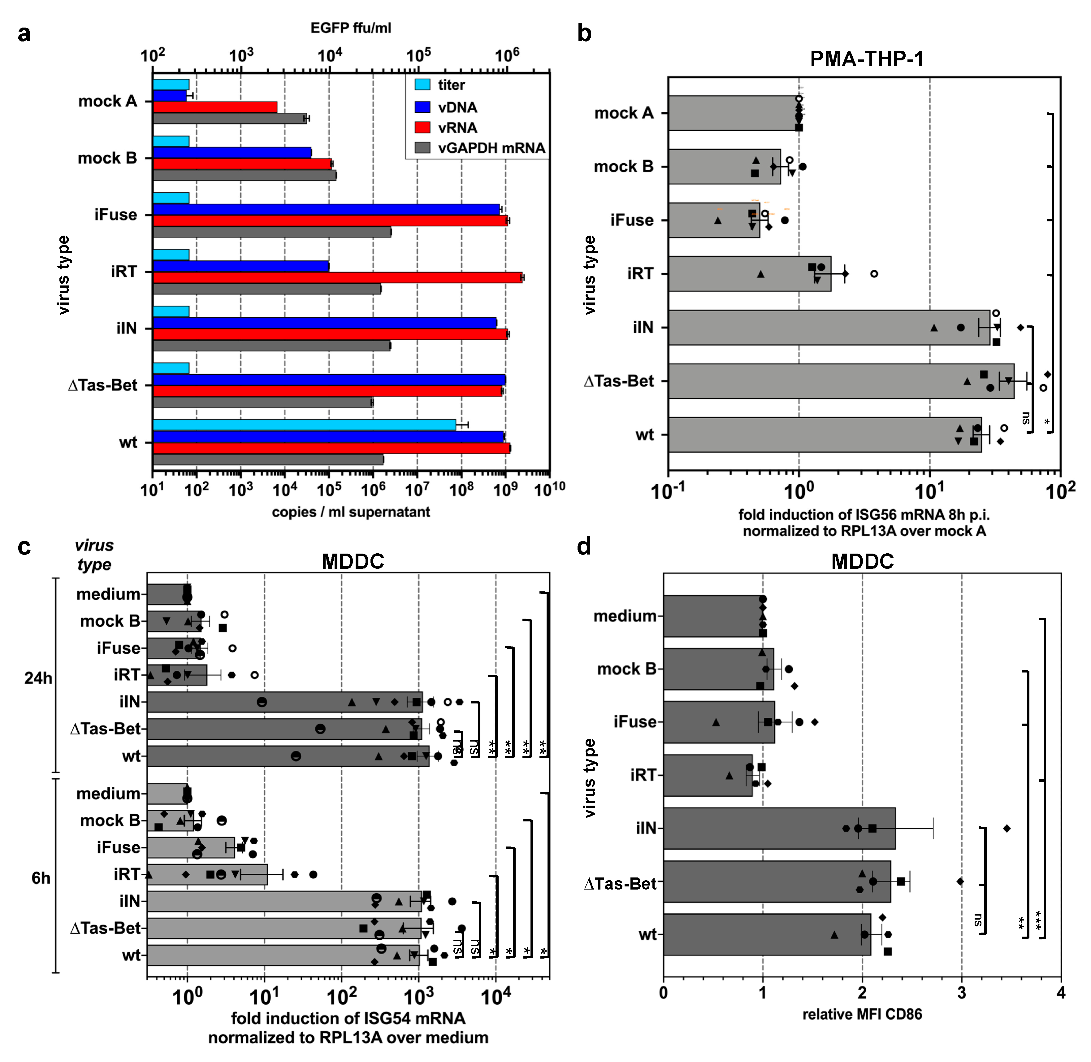 Viruses 11 01095 g003