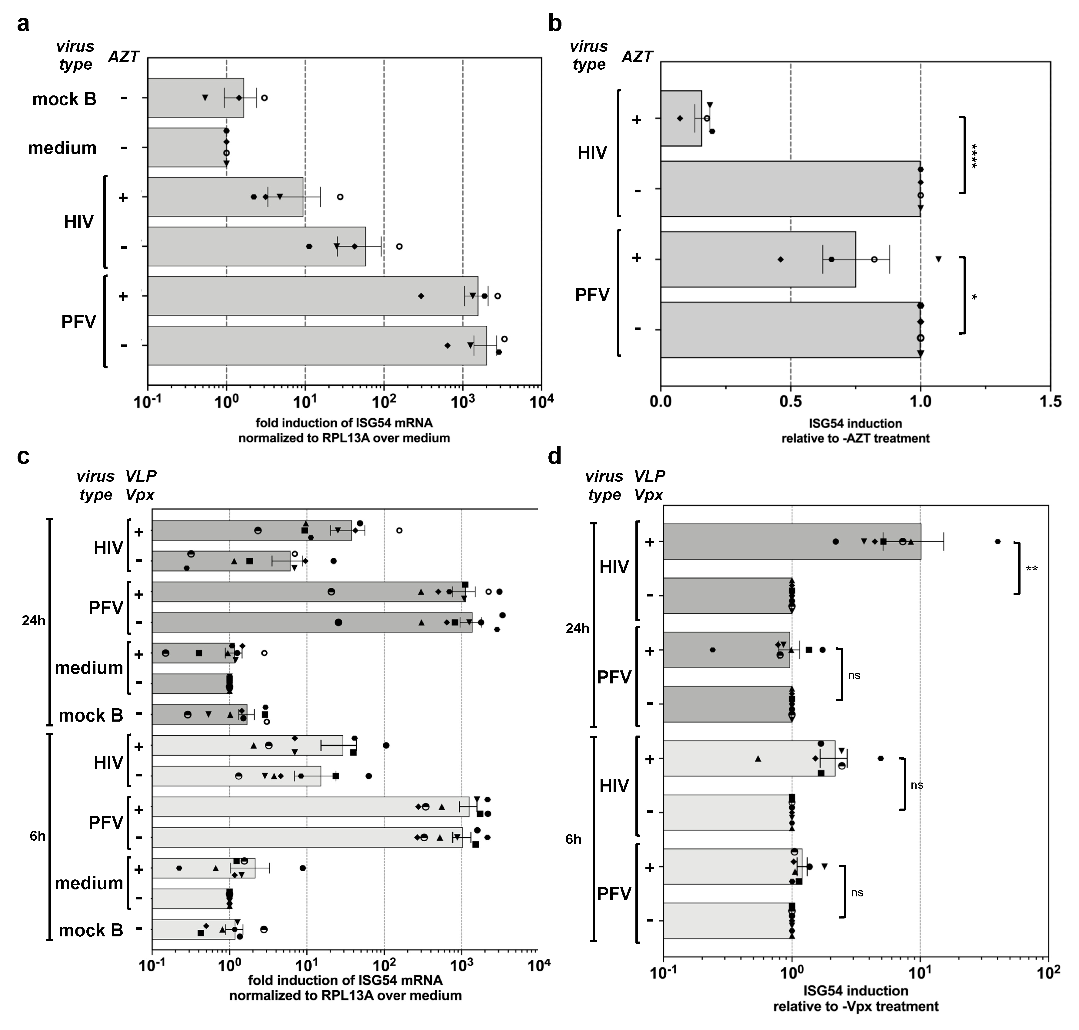 Viruses 11 01095 g004