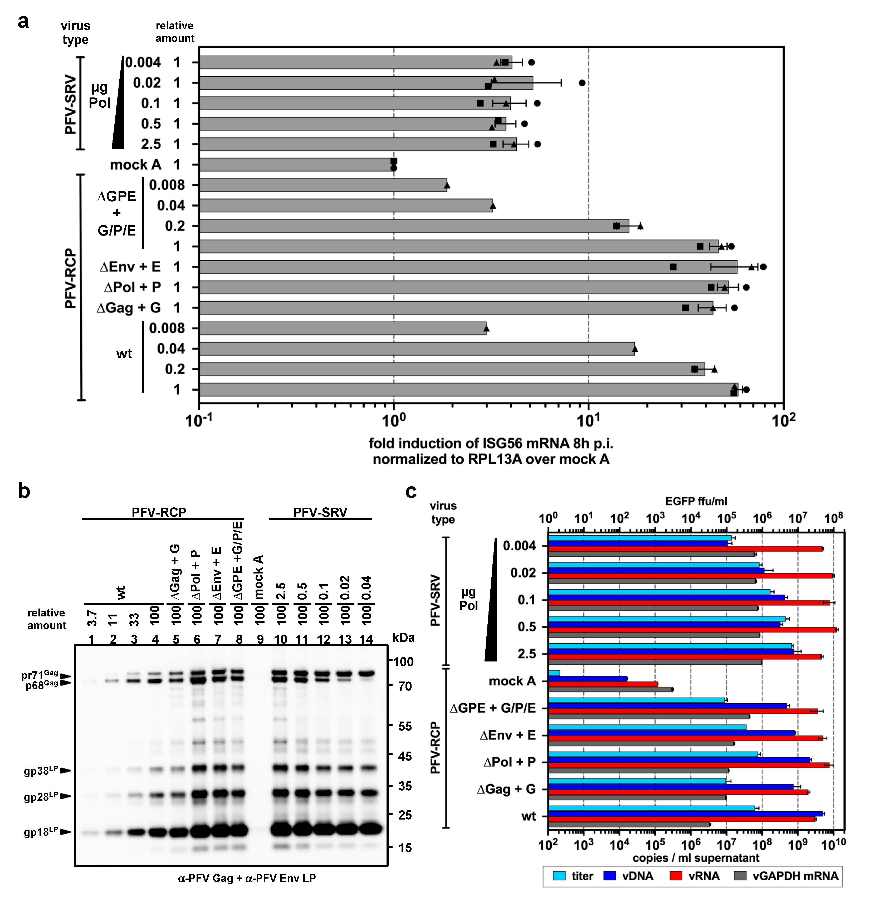 Viruses 11 01095 g005